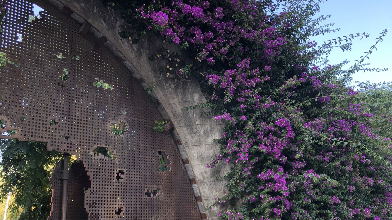 Обои цветок, наука, физика, пурпур, лаванда в разрешении 1366x768