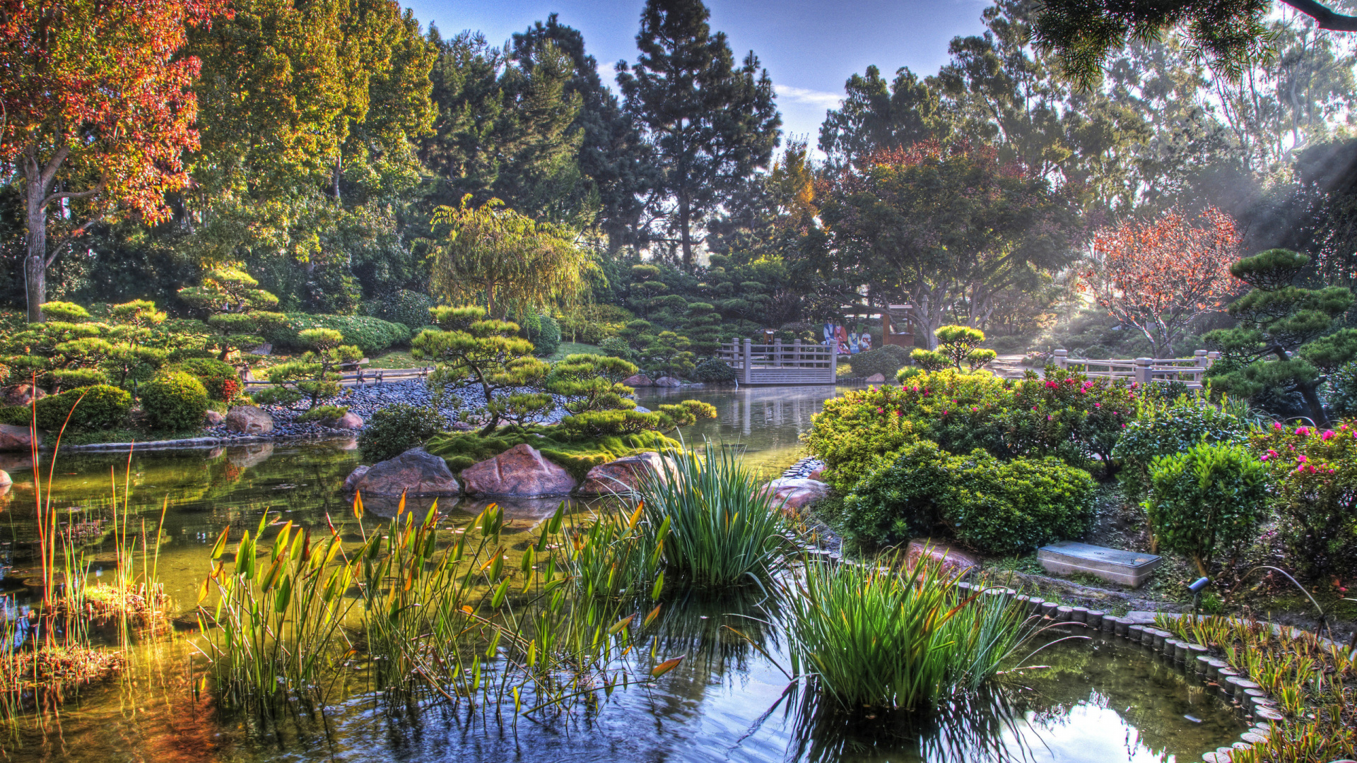 Обои водный сад, сад, японский сад, природа, отражение в разрешении 1920x1080