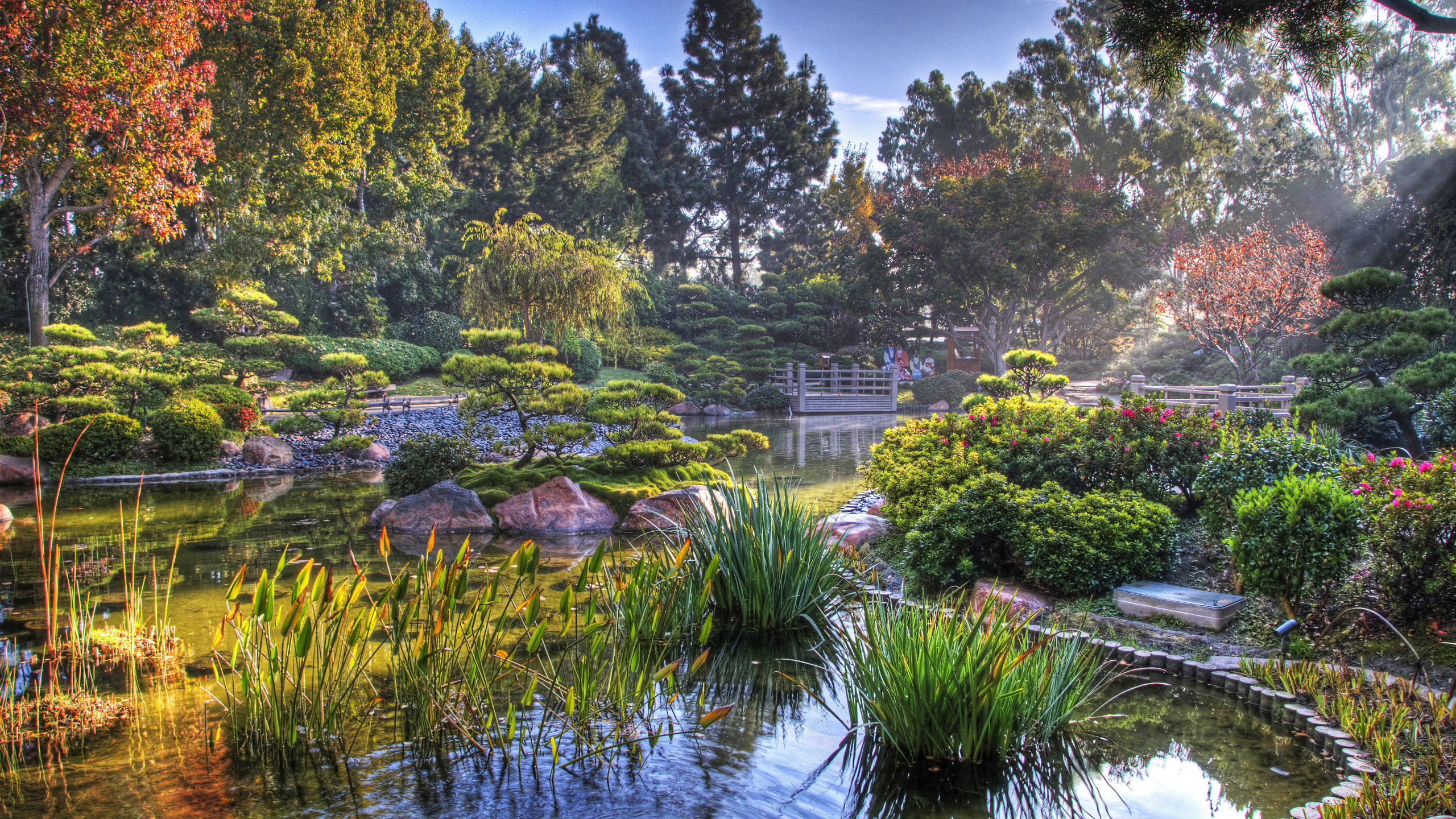 Обои водный сад, сад, японский сад, природа, отражение в разрешении 2560x1440