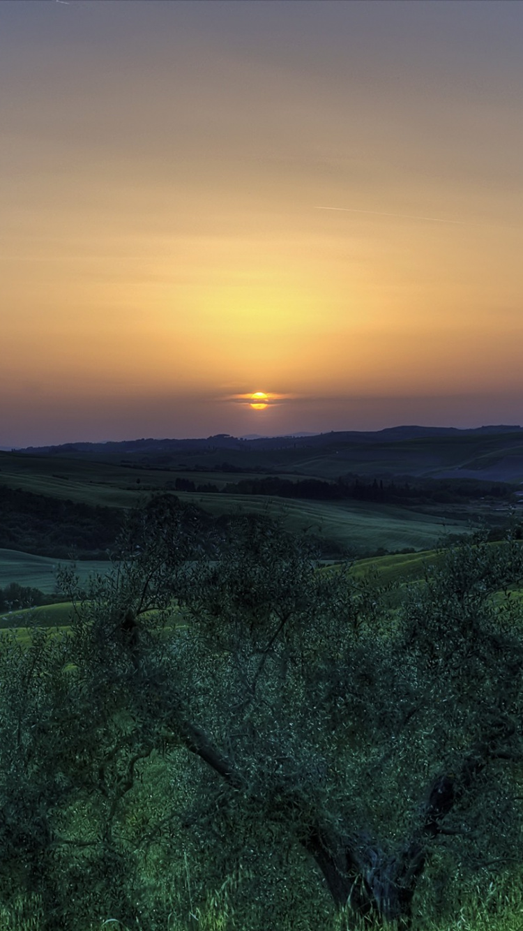 Обои природа, зеленый, природный ландшафт, холм, утро в разрешении 750x1334