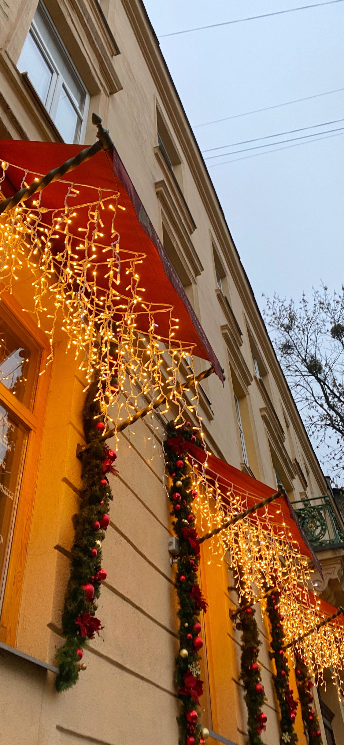 Обои архитектура, окно, ветвь, фасад, соседство в разрешении 1125x2436