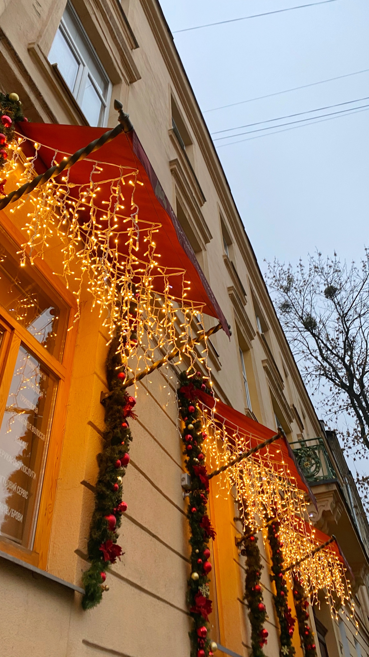 Обои архитектура, окно, ветвь, фасад, соседство в разрешении 1440x2560