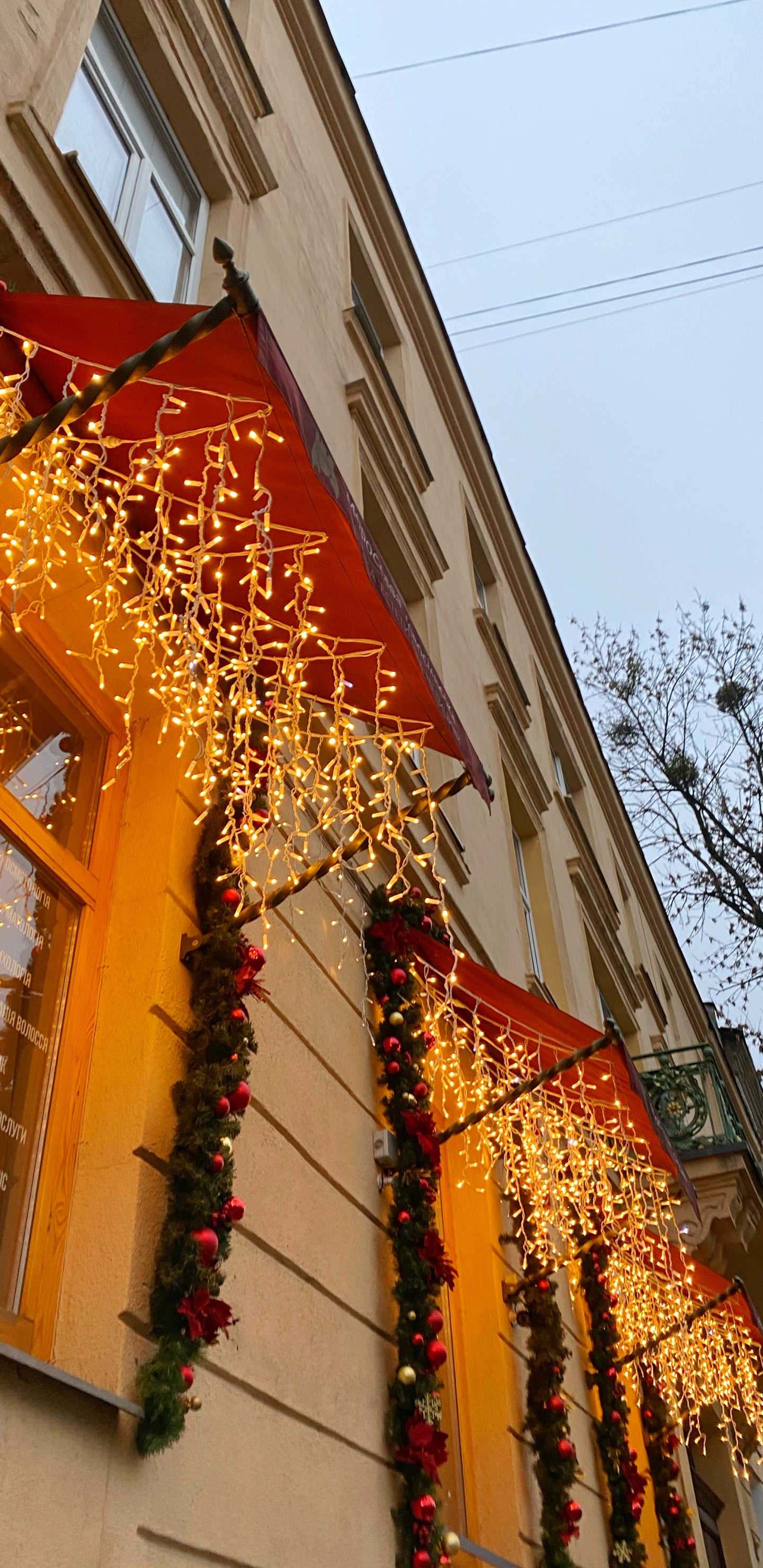 Обои архитектура, окно, ветвь, фасад, соседство в разрешении 1440x2960