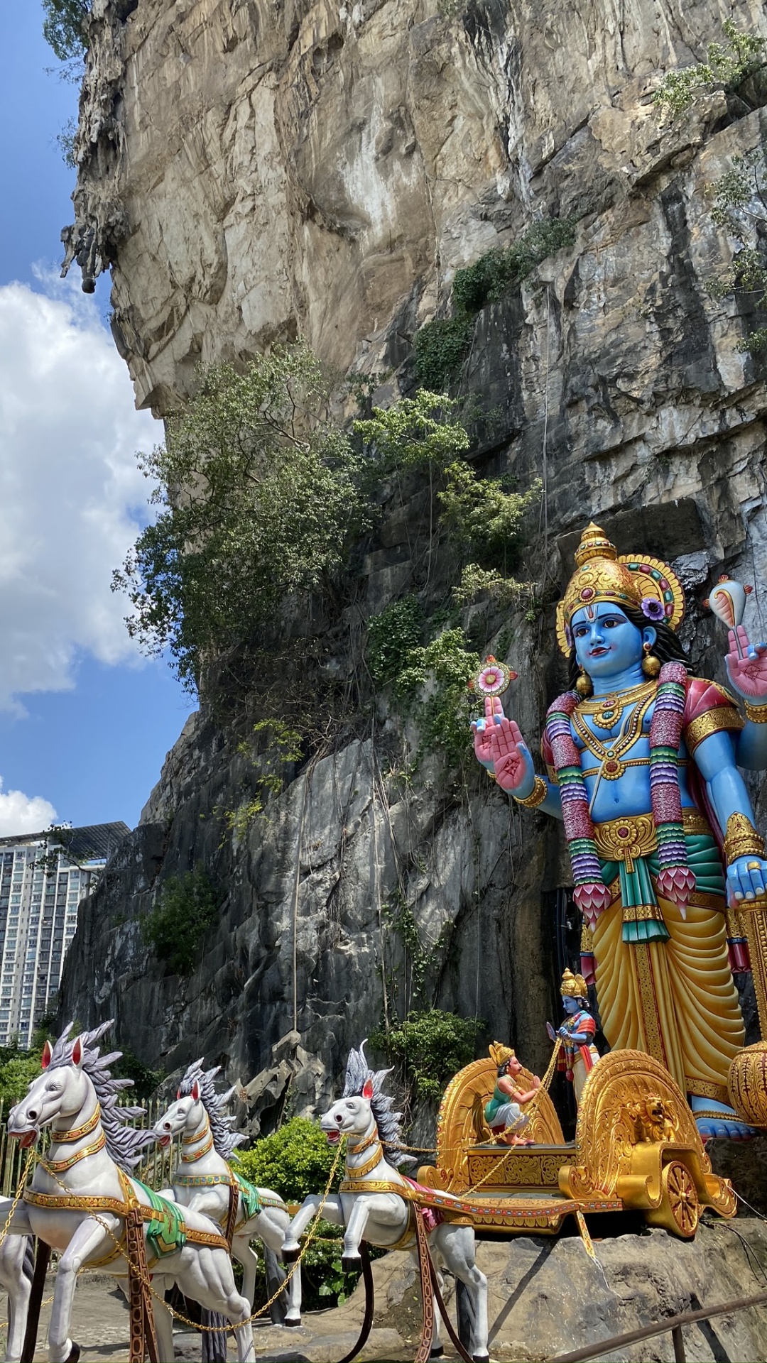 Обои Малайзия, туризм, достопримечательность, наука, биология в разрешении 1080x1920