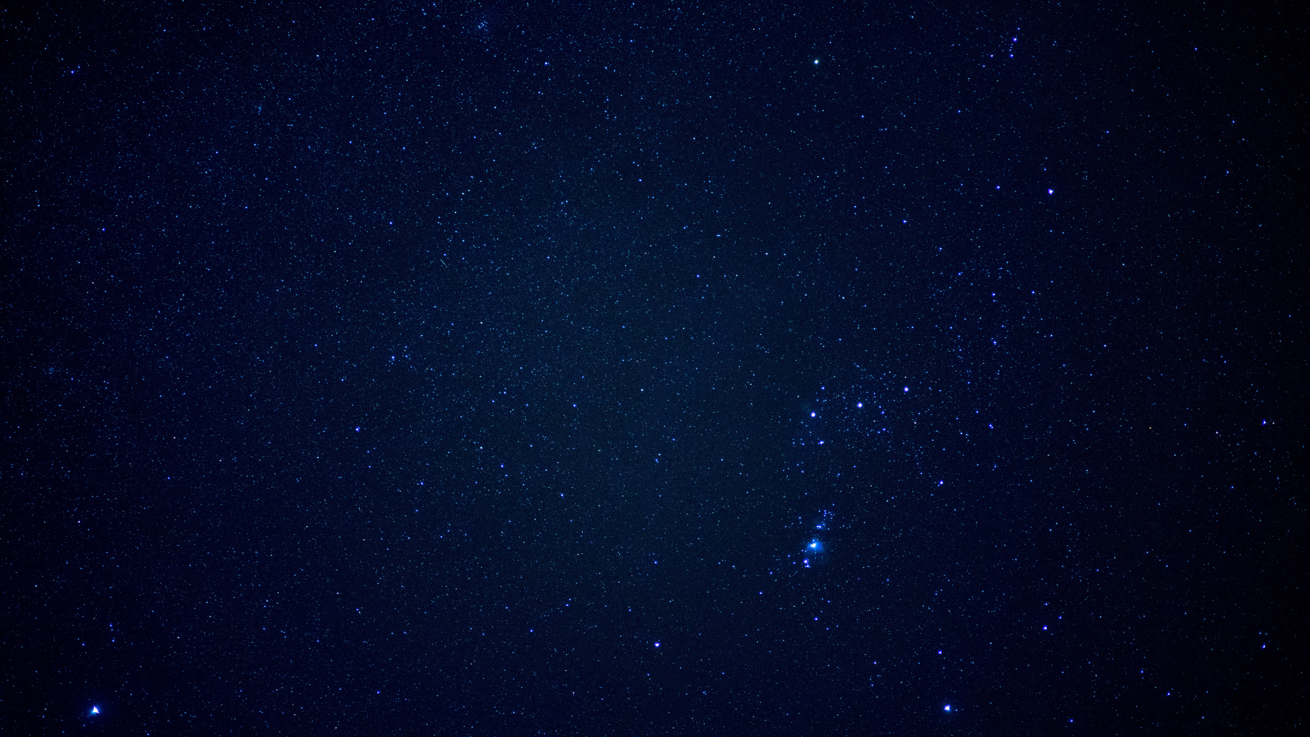 Обои звезда, космос, Астрономия, астрономический объект, синий в разрешении 2560x1440