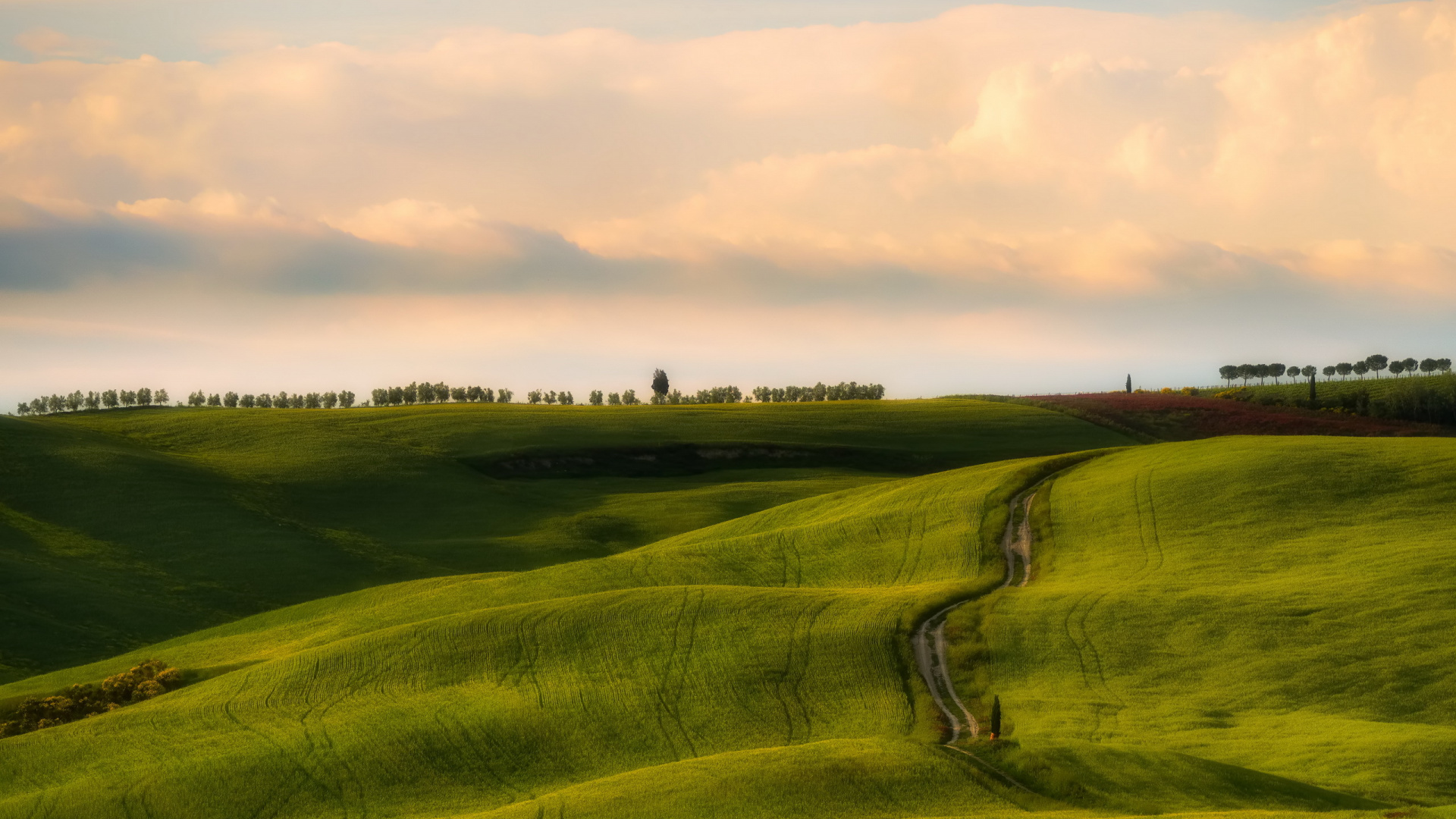 Обои сенокосное угодье, холм, поле, выгон, равнина в разрешении 1920x1080