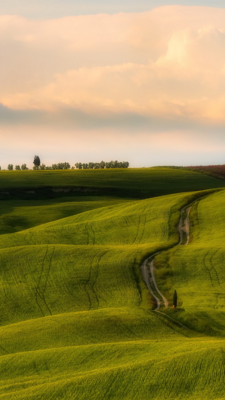 Обои сенокосное угодье, холм, поле, выгон, равнина в разрешении 720x1280