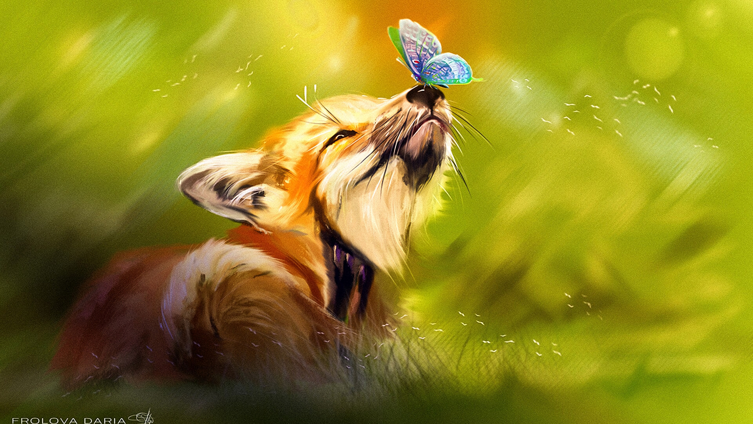 Обои спортивные группы, крупный план, трава, живая природа, природа в разрешении 2560x1440