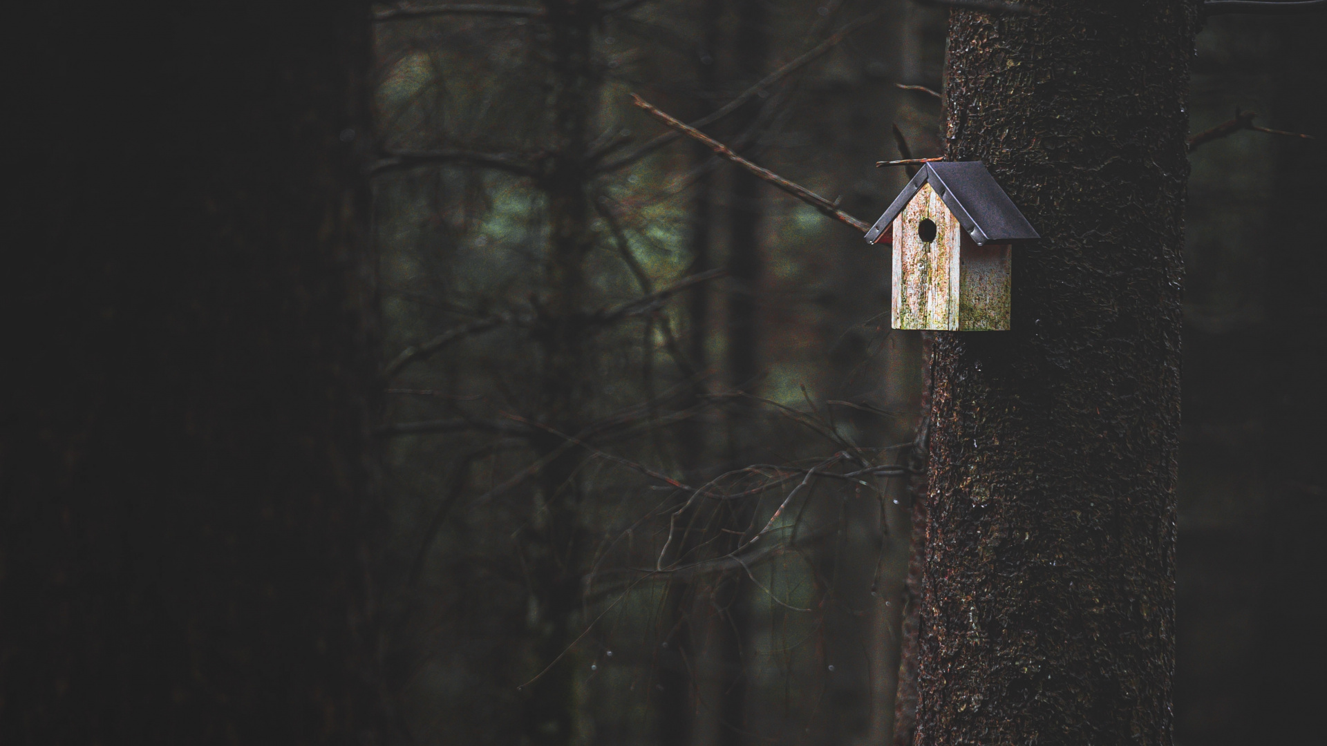 Обои темнота, дерево, древесина, черный, свет в разрешении 1920x1080