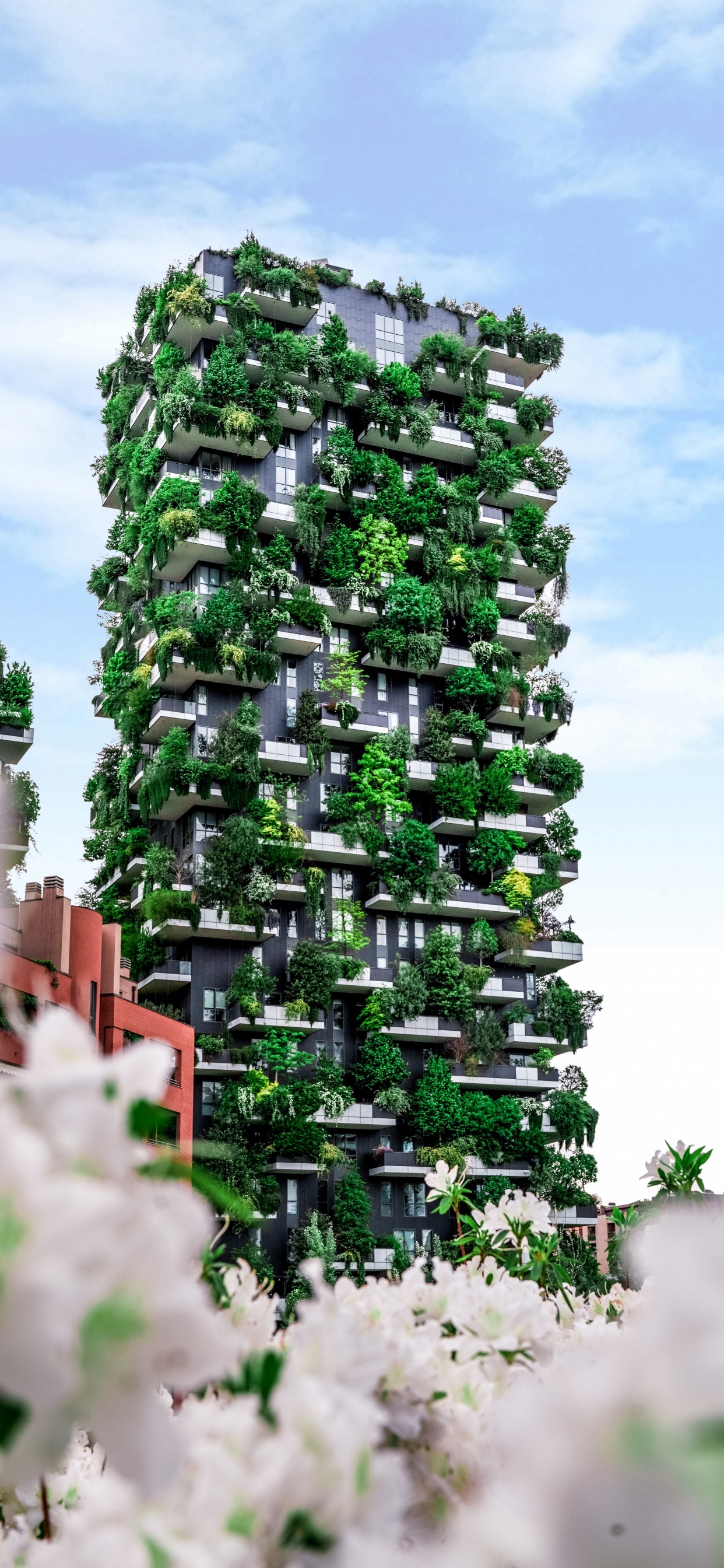 Обои архитектура, зеленый, плющ, цветок, сад в разрешении 1242x2688