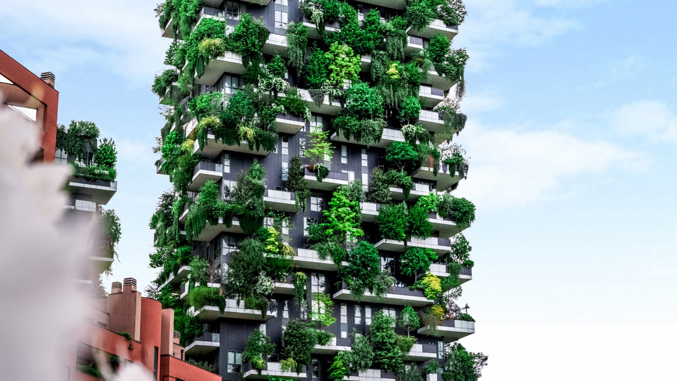 Обои архитектура, зеленый, плющ, цветок, сад в разрешении 1366x768