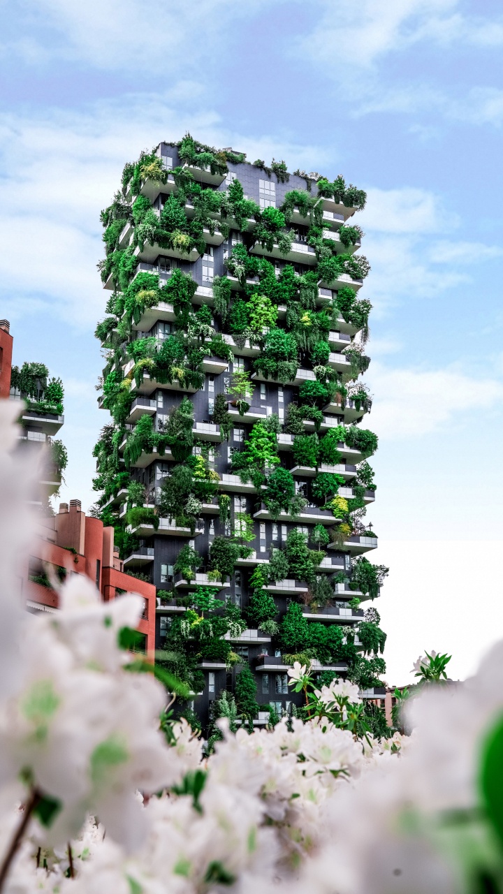 Обои архитектура, зеленый, плющ, цветок, сад в разрешении 720x1280