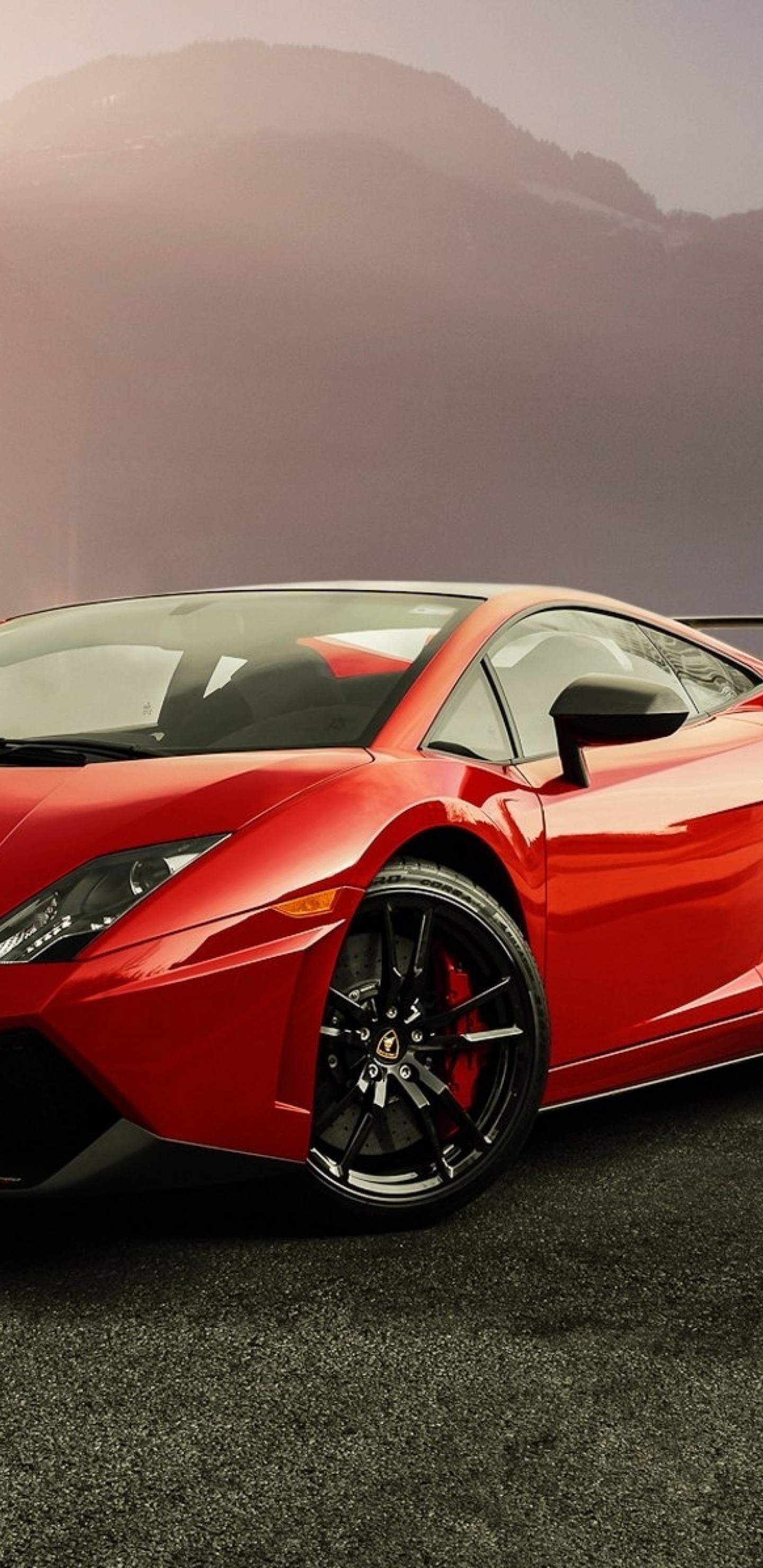 Обои авто, Ламборджини, суперкар, спорткар, lamborghini gallardo в разрешении 1440x2960