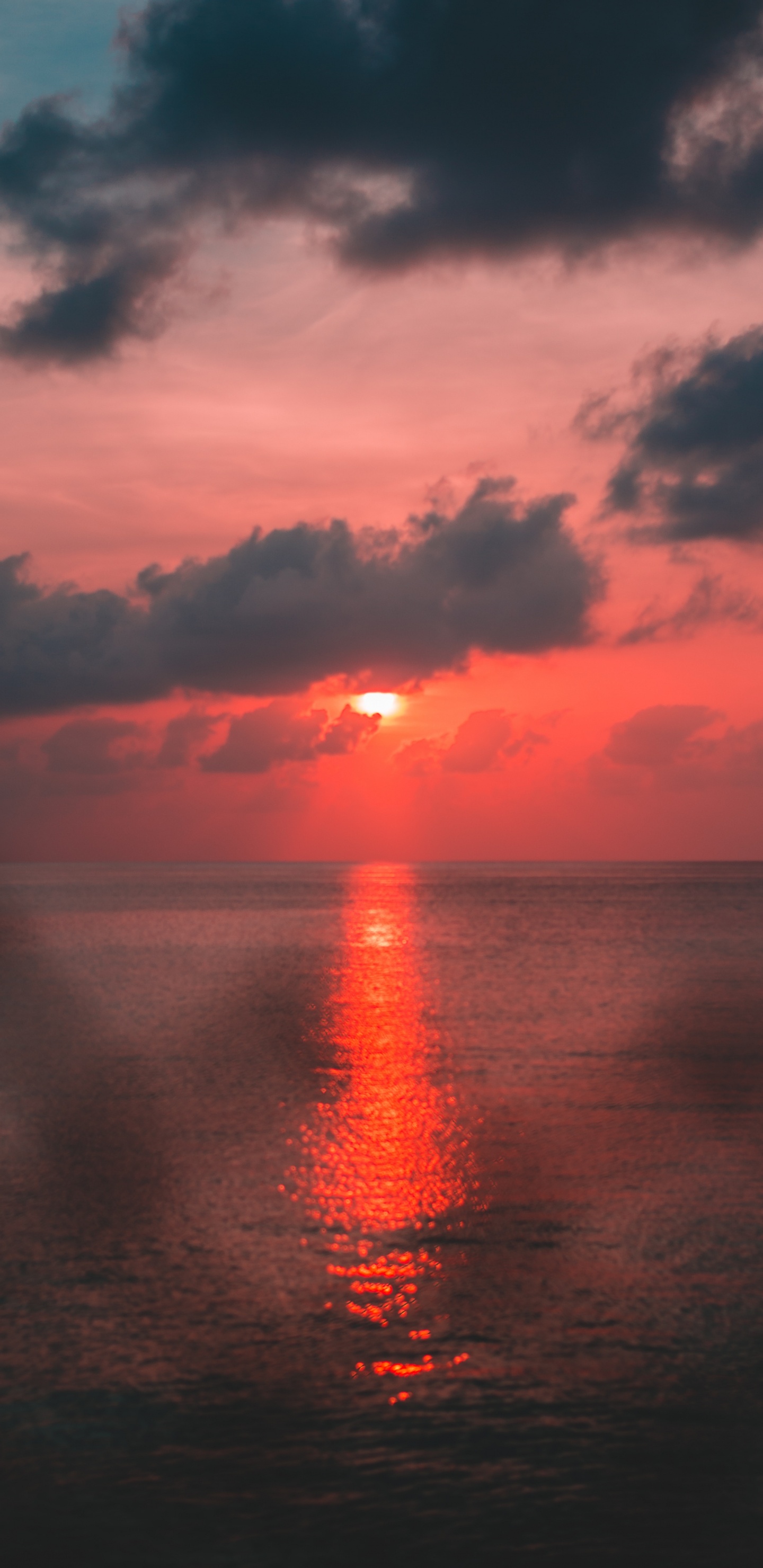 Обои закат, горизонт, красный цвет, восход солнца, облако в разрешении 1440x2960