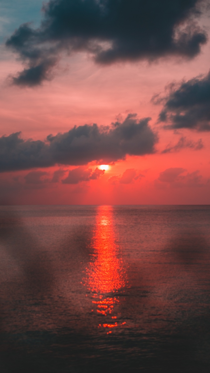 Обои закат, горизонт, красный цвет, восход солнца, облако в разрешении 720x1280