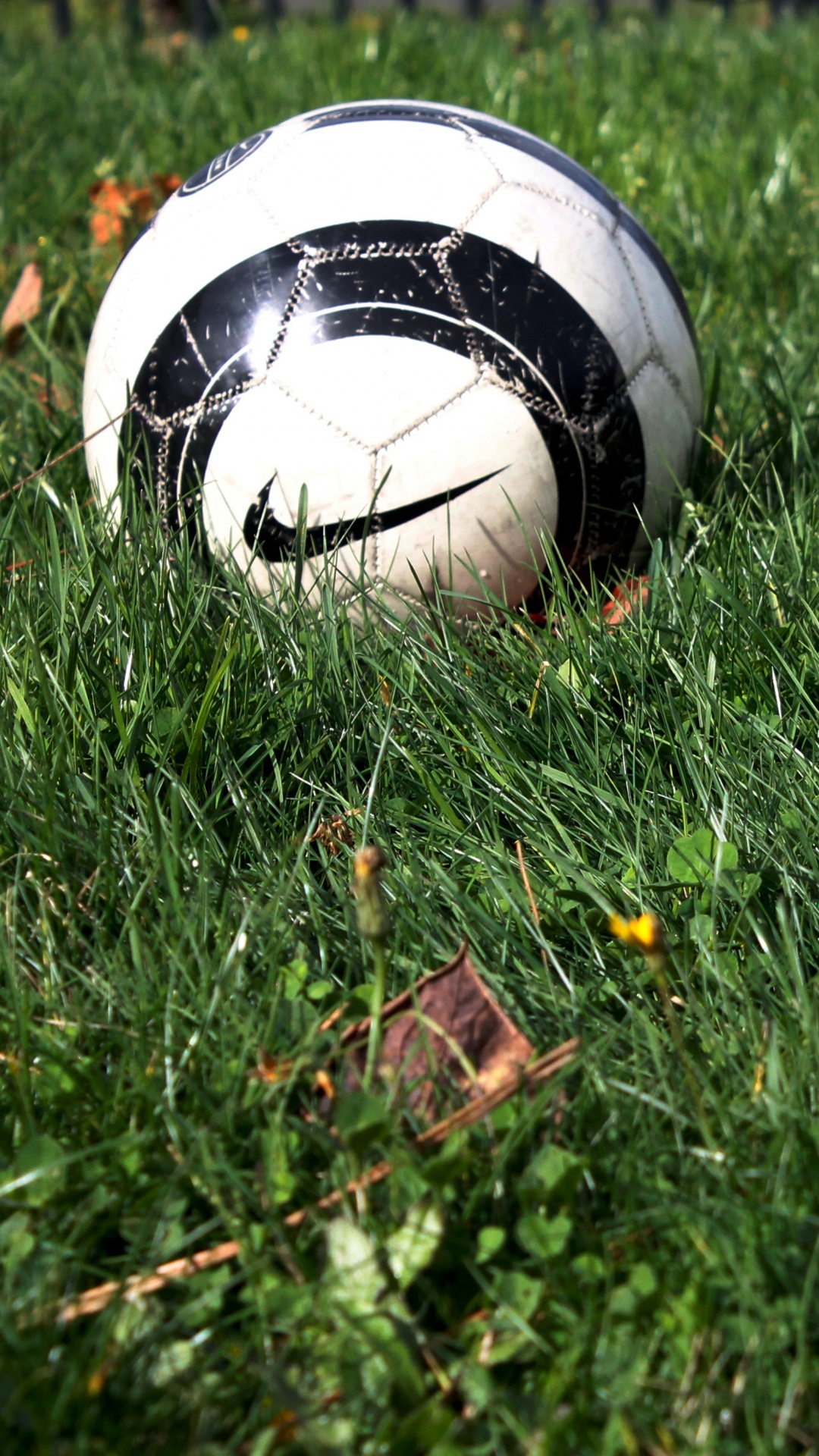 Обои мяч, Футбольный Мяч Nike, спортивный инвентарь, футбольный мяч, футбол в разрешении 1080x1920