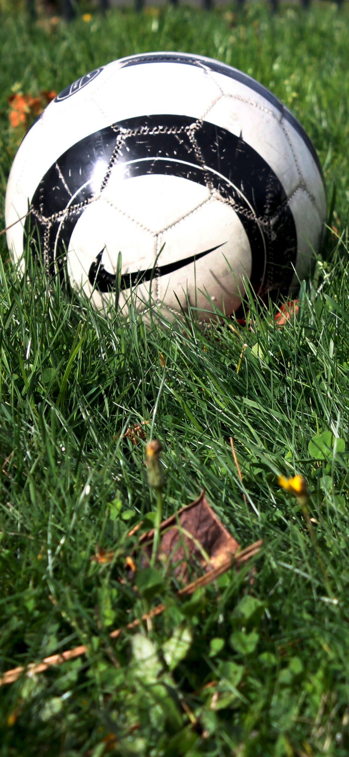 Обои мяч, Футбольный Мяч Nike, спортивный инвентарь, футбольный мяч, футбол в разрешении 1125x2436