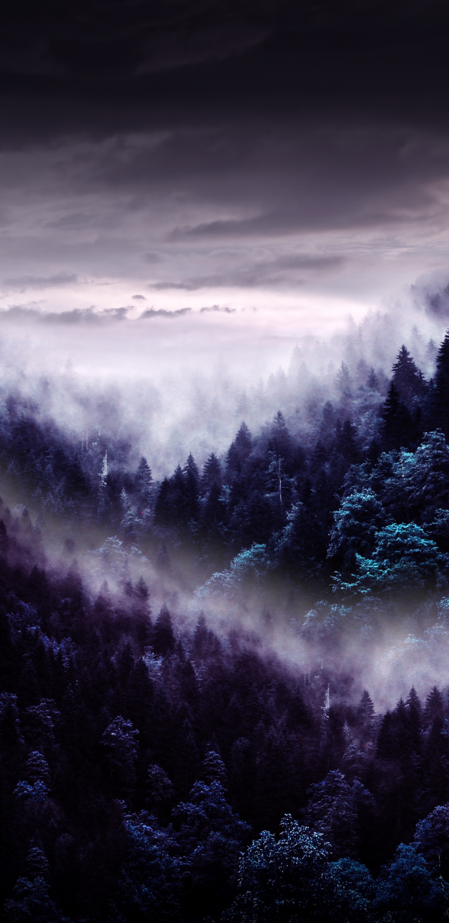 Обои атмосфера, облако, природный ландшафт, дерево, гора в разрешении 1440x2960