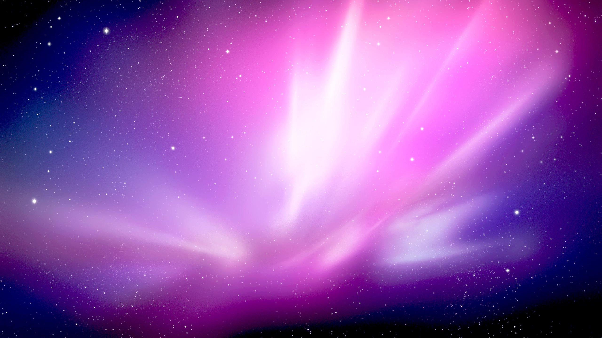 Обои снежный Барс, macbook, атмосфера, пурпур, свет в разрешении 2560x1440