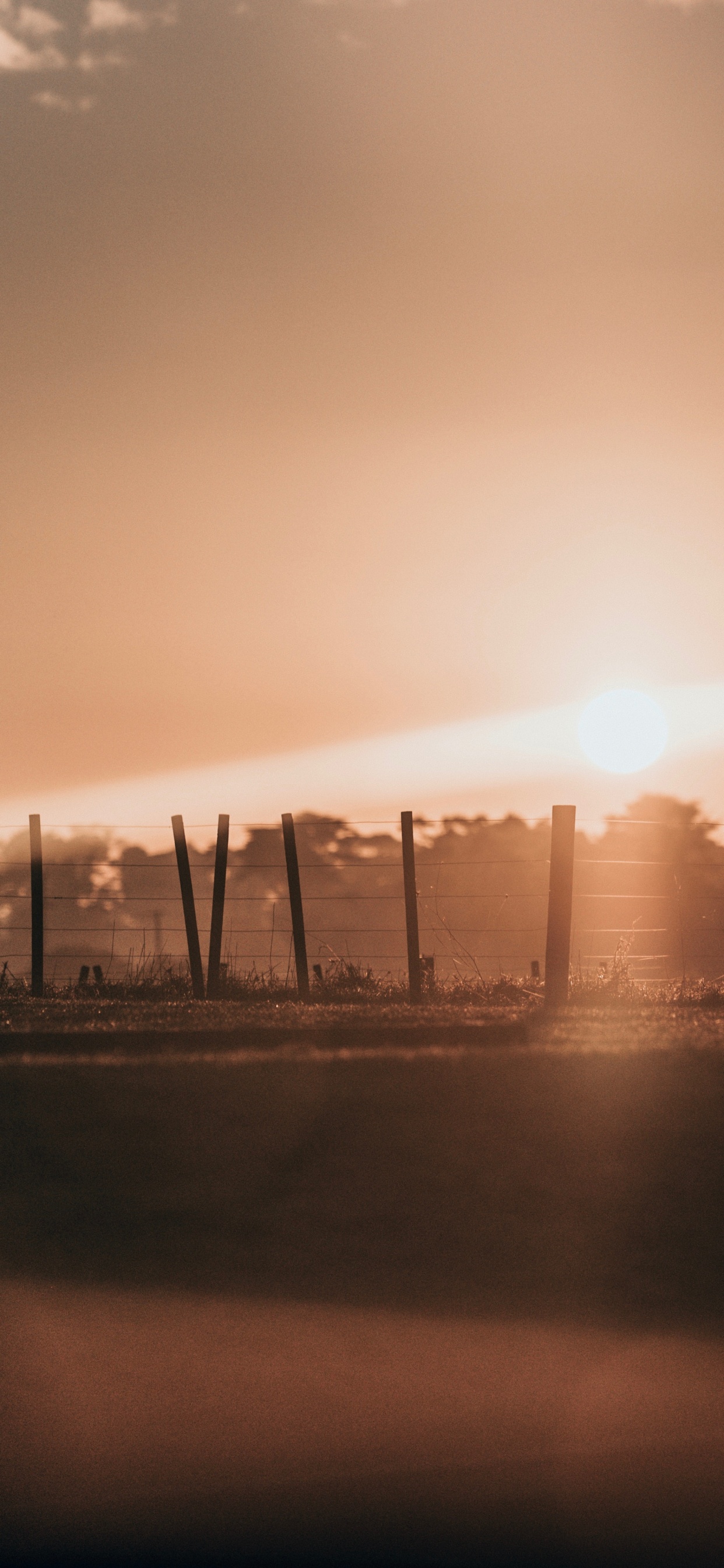 Обои горизонт, здание, закат, атмосфера, вечер в разрешении 1242x2688