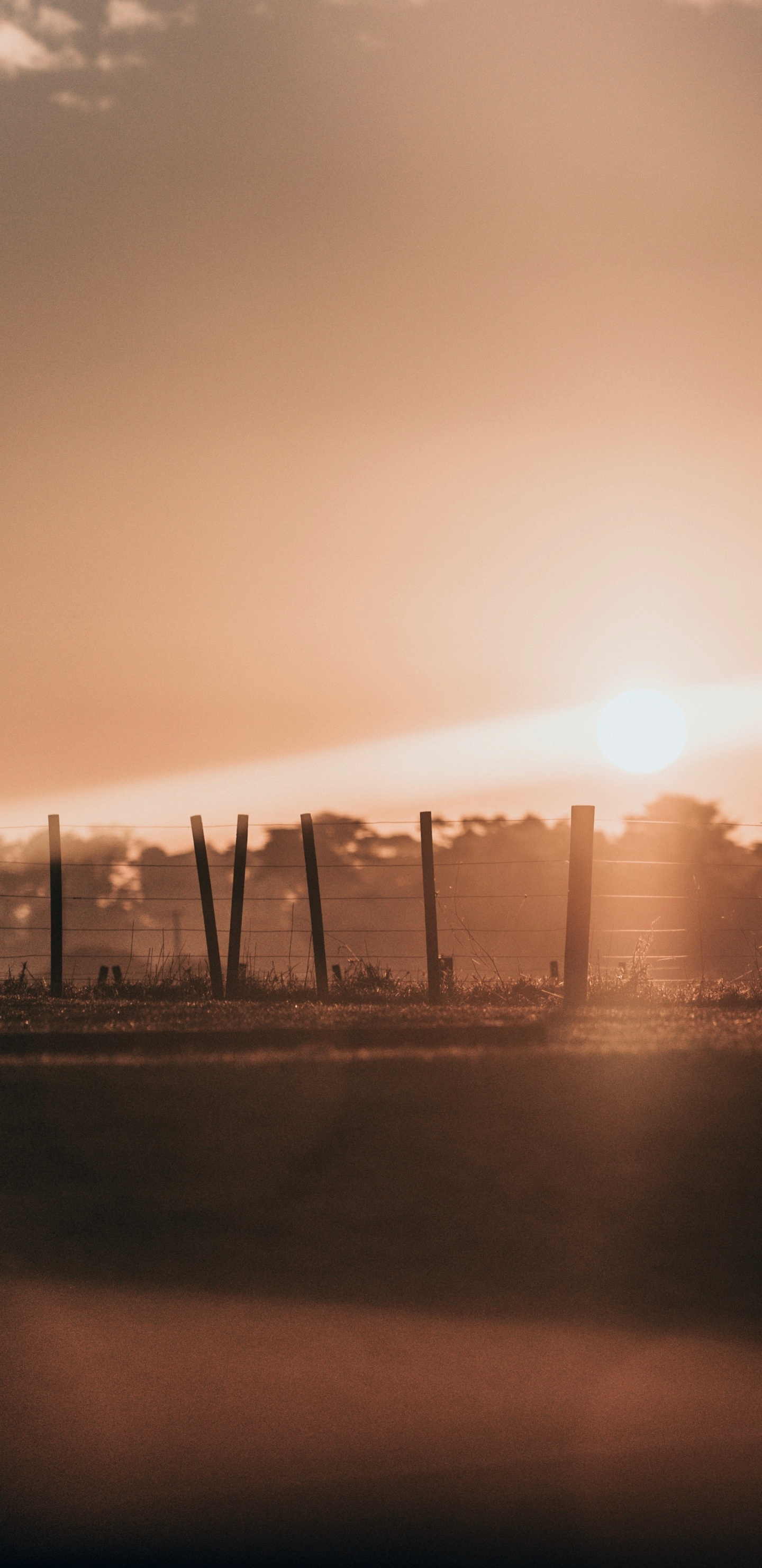 Обои горизонт, здание, закат, атмосфера, вечер в разрешении 1440x2960