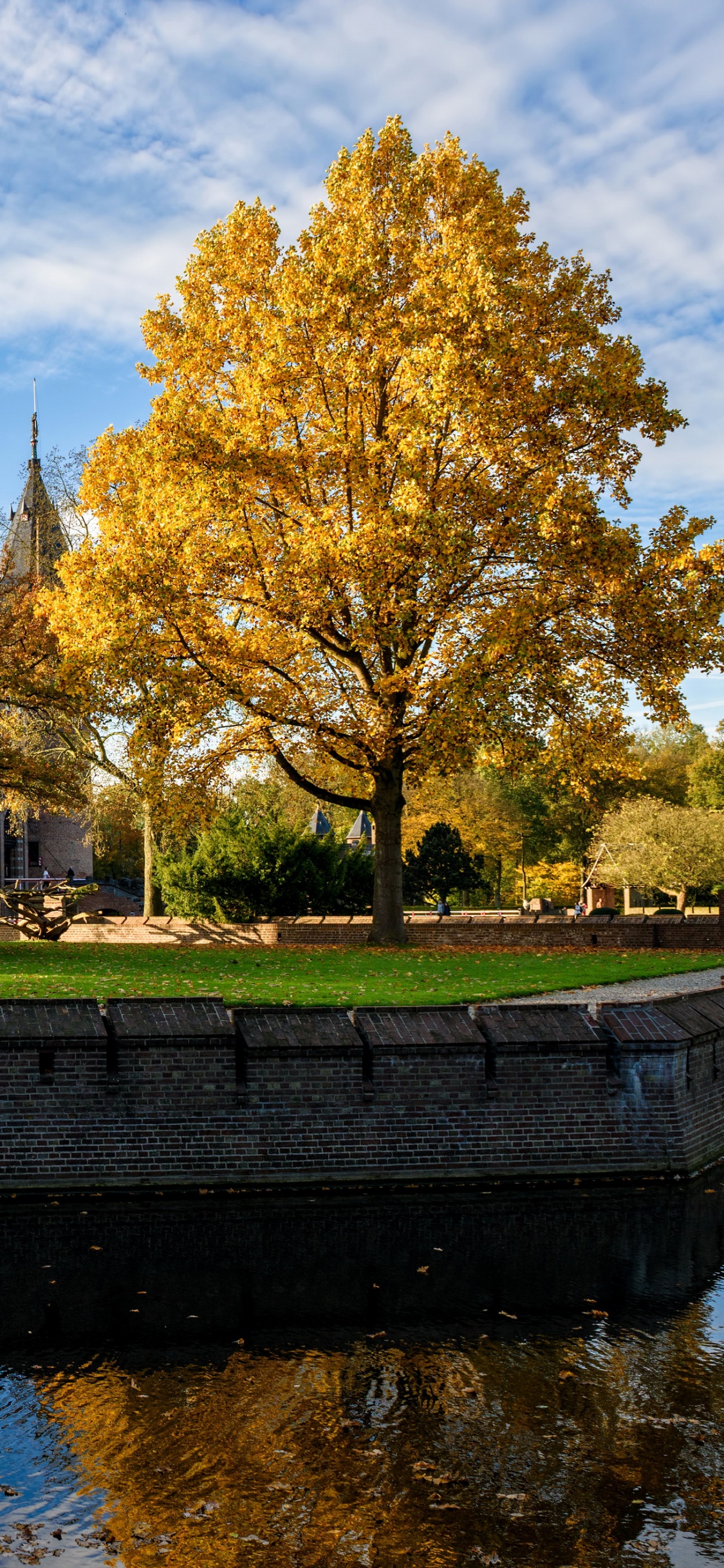 Обои отражение, водный путь, вода, дерево, водный замок в разрешении 1125x2436