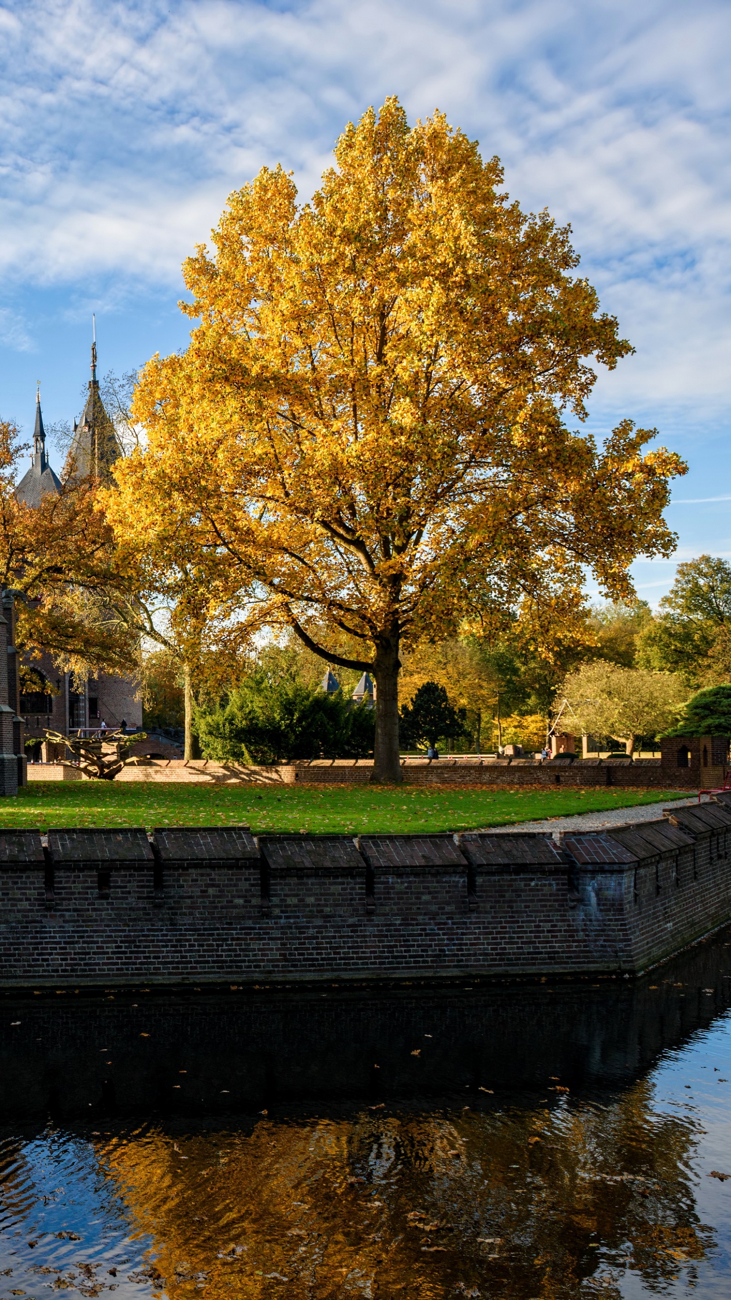 Обои отражение, водный путь, вода, дерево, водный замок в разрешении 1440x2560