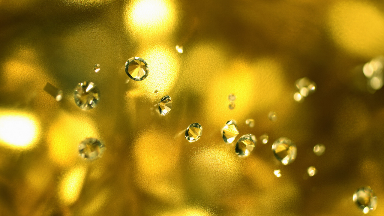Обои роса, желтый, влага, вода, солнечный свет в разрешении 1280x720