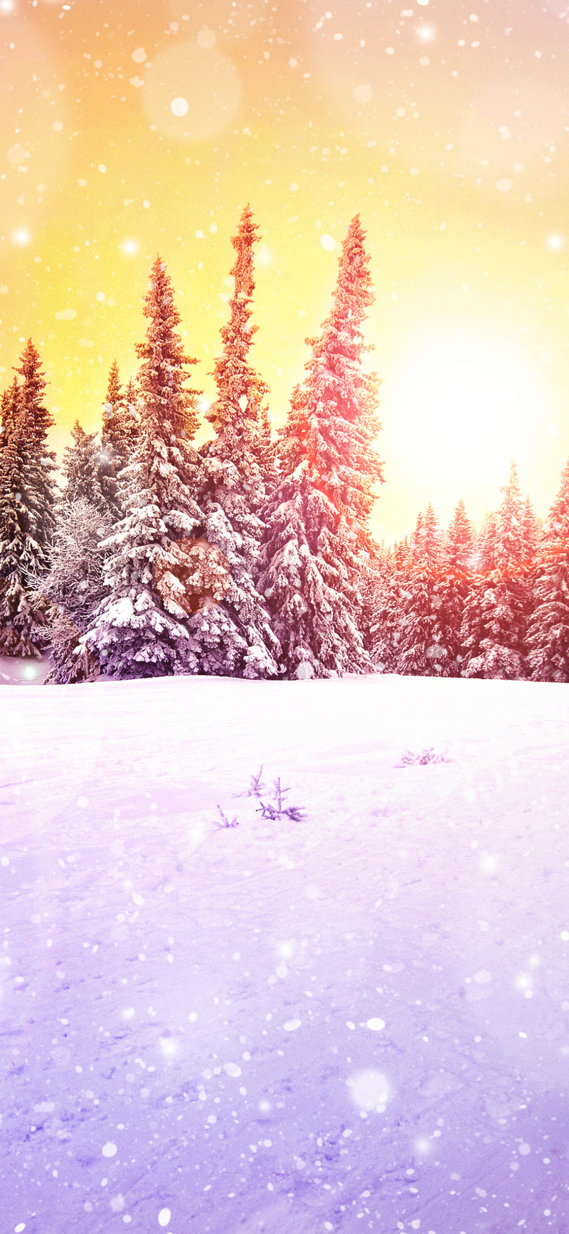 Обои красивые открытки с новым годом, снег, природный ландшафт, лиственница, ветвь в разрешении 1125x2436