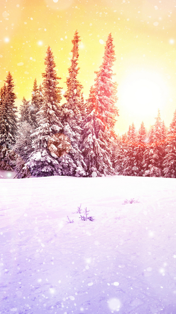 Обои красивые открытки с новым годом, снег, природный ландшафт, лиственница, ветвь в разрешении 750x1334