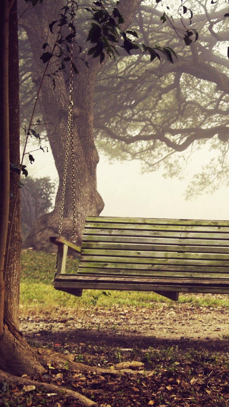 Обои дерево, природа, лесистая местность, древесные растения, завод в разрешении 750x1334