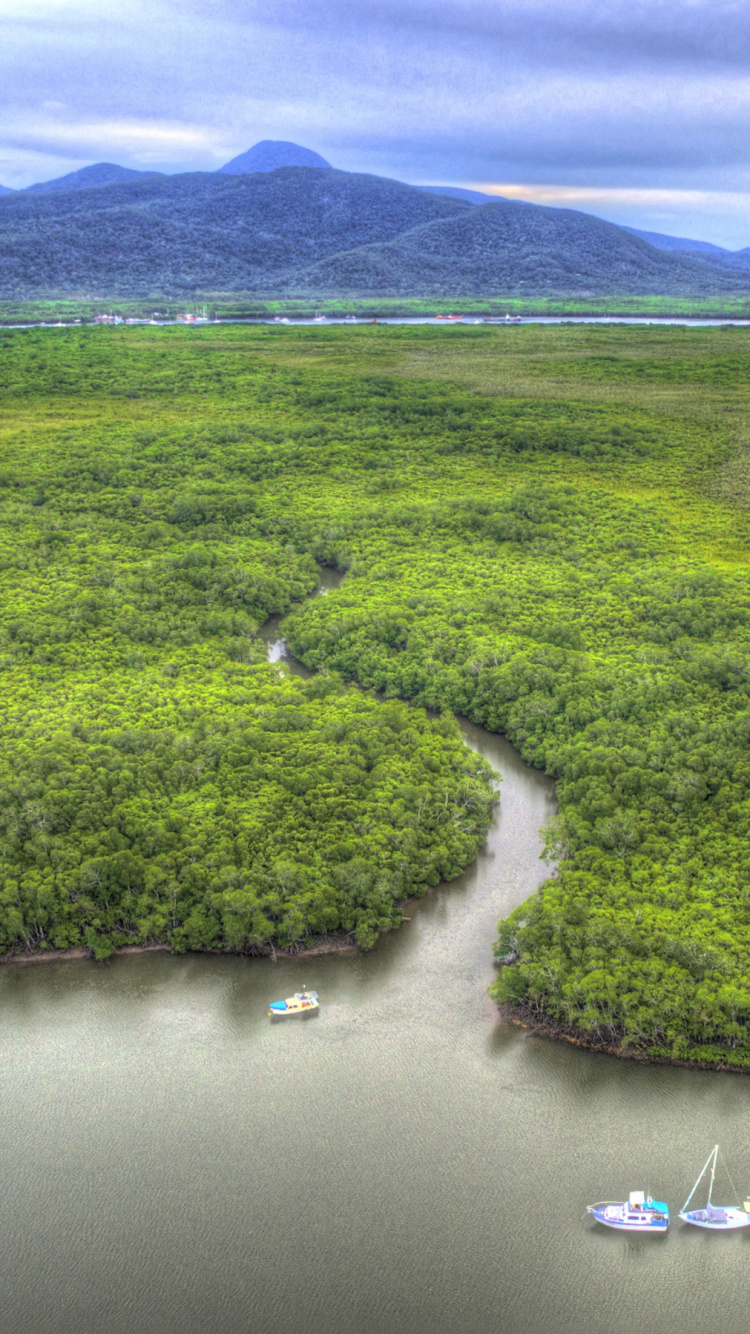 Обои природа, Кернса, гидроресурсы, нагорье, сенокосное угодье в разрешении 750x1334