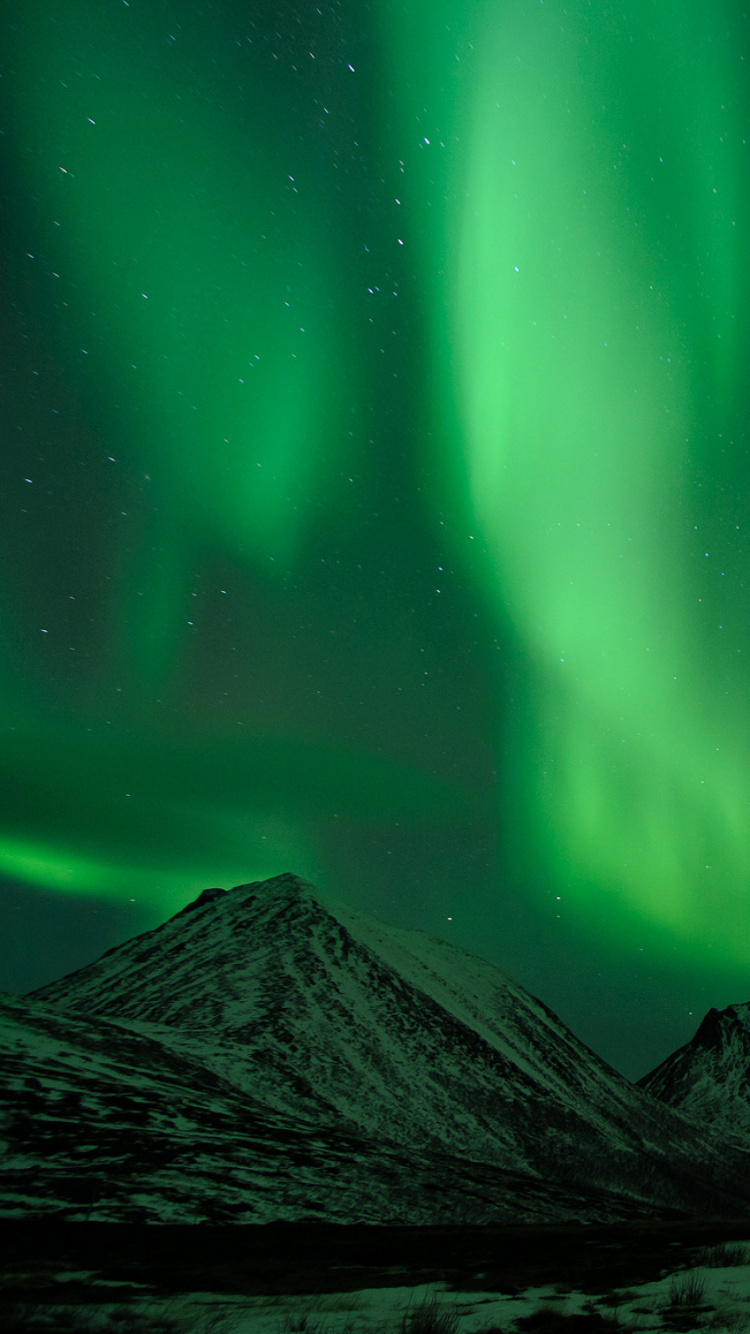 Обои Аврора, природа, зеленый, свет, Норвегия в разрешении 750x1334