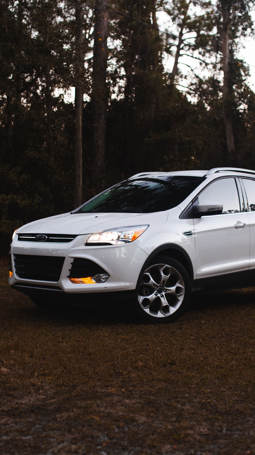 Обои компания Ford, ford, Форд EcoSport, авто, Мини-внедорожник в разрешении 1080x1920