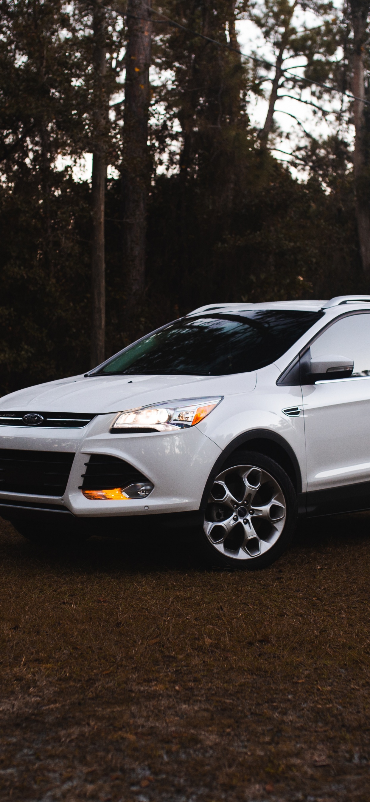 Обои компания Ford, ford, Форд EcoSport, авто, Мини-внедорожник в разрешении 1242x2688