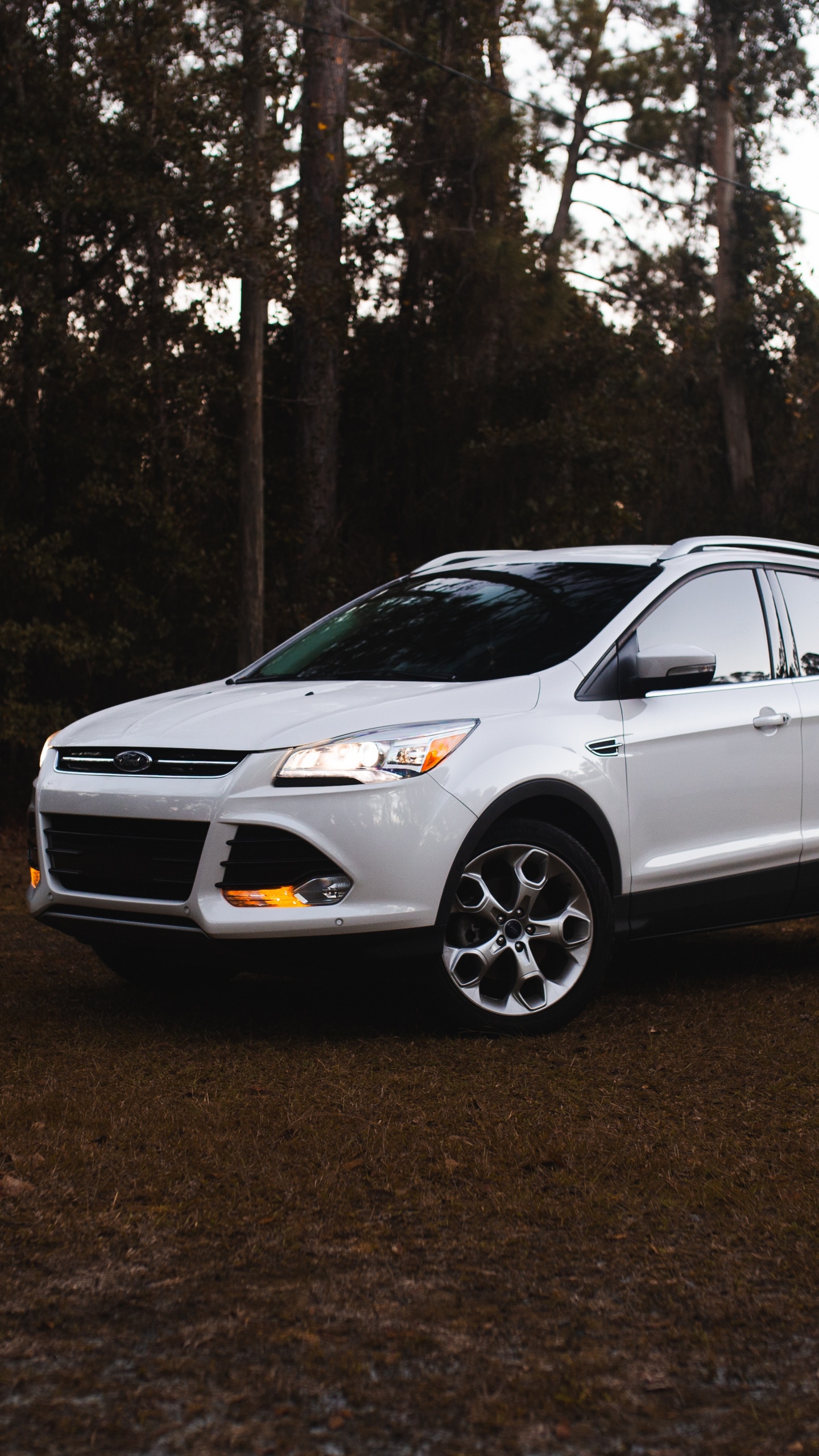 Обои компания Ford, ford, Форд EcoSport, авто, Мини-внедорожник в разрешении 1440x2560