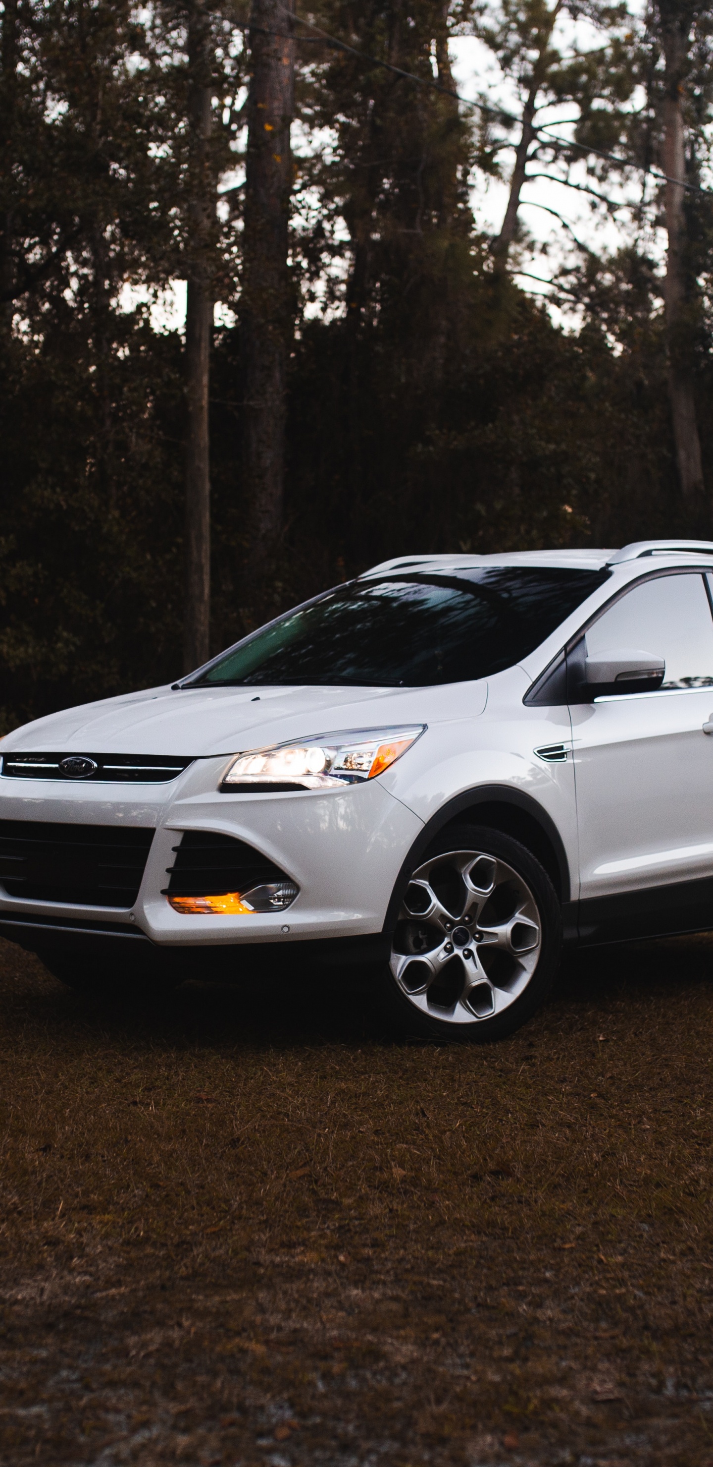 Обои компания Ford, ford, Форд EcoSport, авто, Мини-внедорожник в разрешении 1440x2960