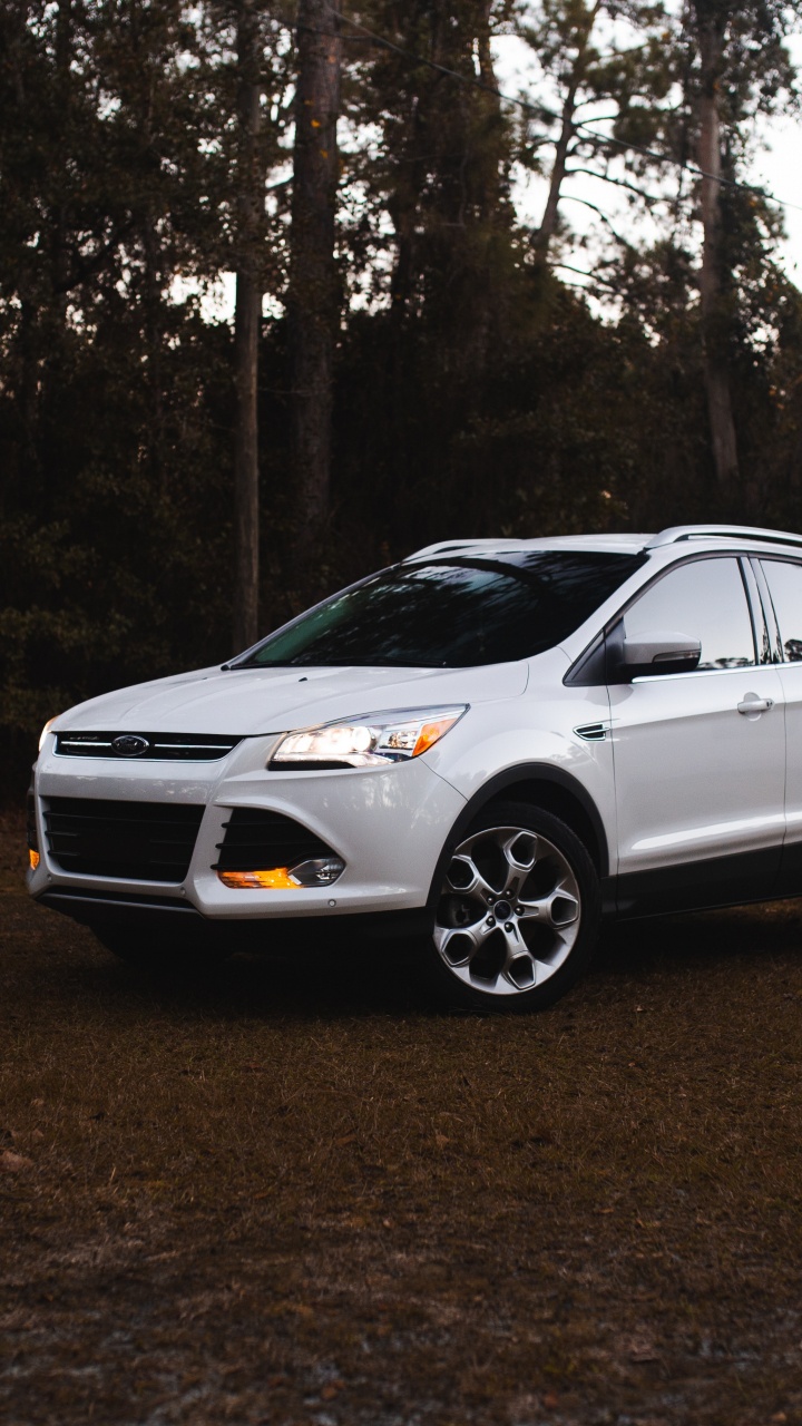 Обои компания Ford, ford, Форд EcoSport, авто, Мини-внедорожник в разрешении 720x1280