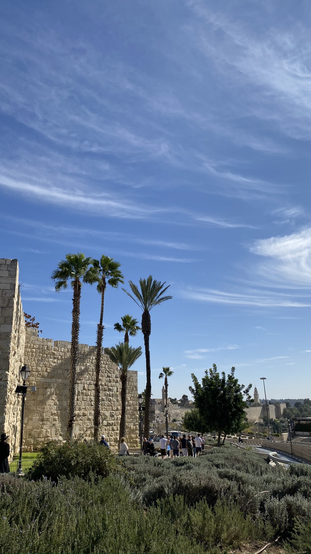 Обои археологический памятник, древняя история, пальмовые рощи, облако, семейство травы в разрешении 1080x1920