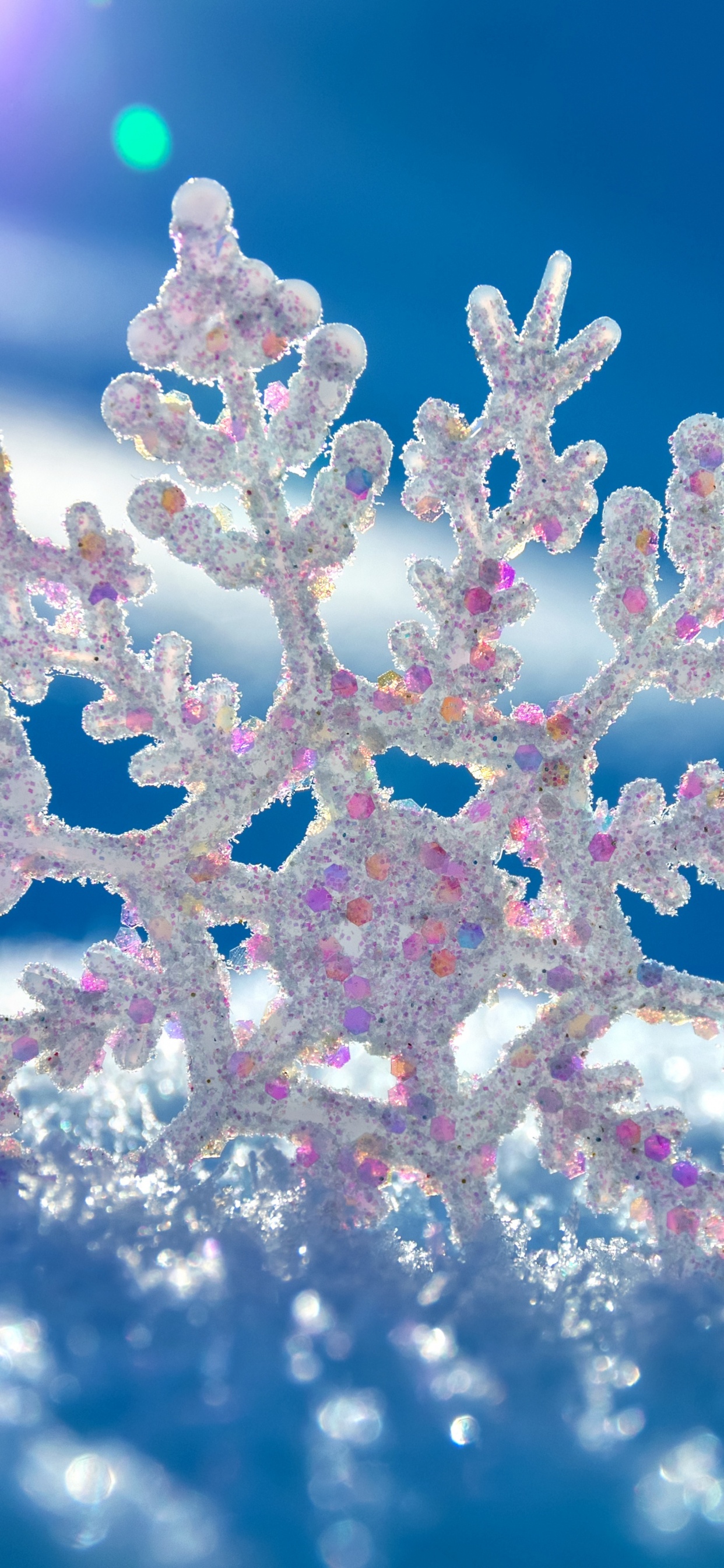 Обои лед, зима, Снежинка, мороз, замораживание в разрешении 1242x2688