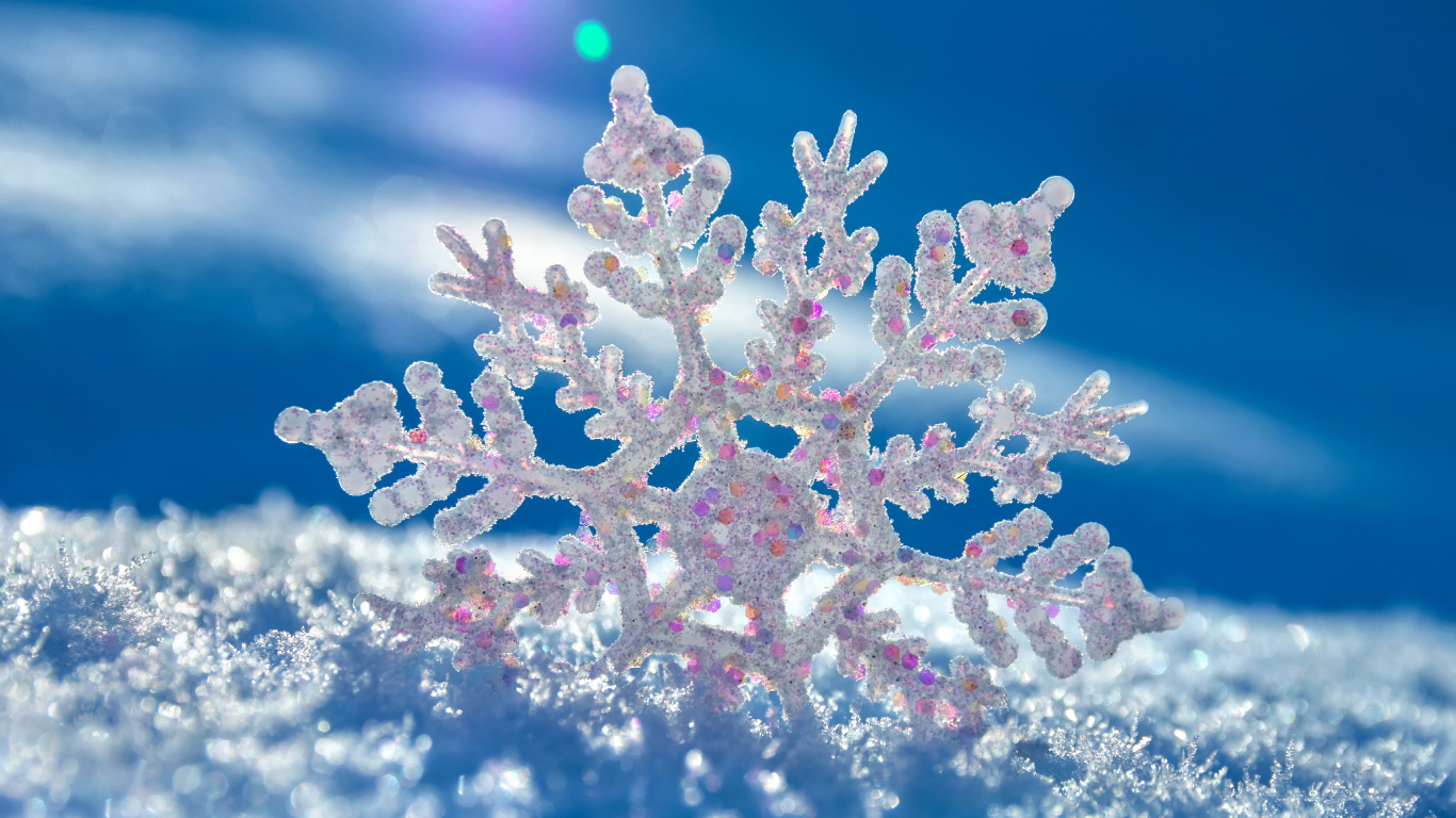 Обои лед, зима, Снежинка, мороз, замораживание в разрешении 1366x768