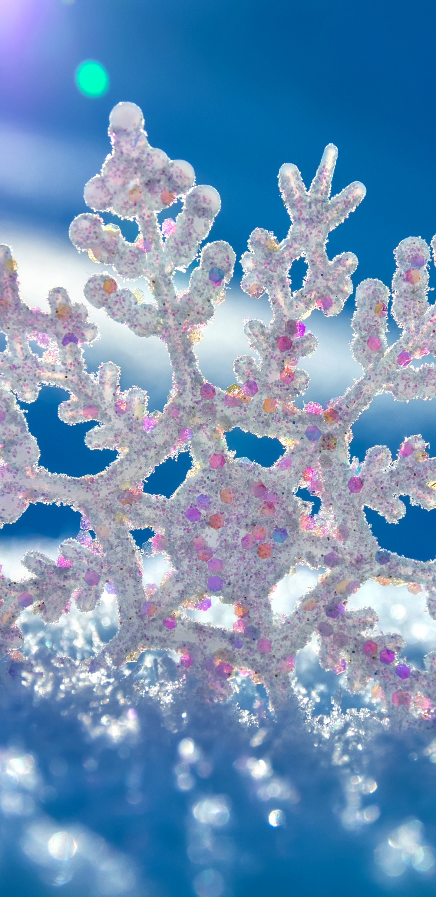 Обои лед, зима, Снежинка, мороз, замораживание в разрешении 1440x2960