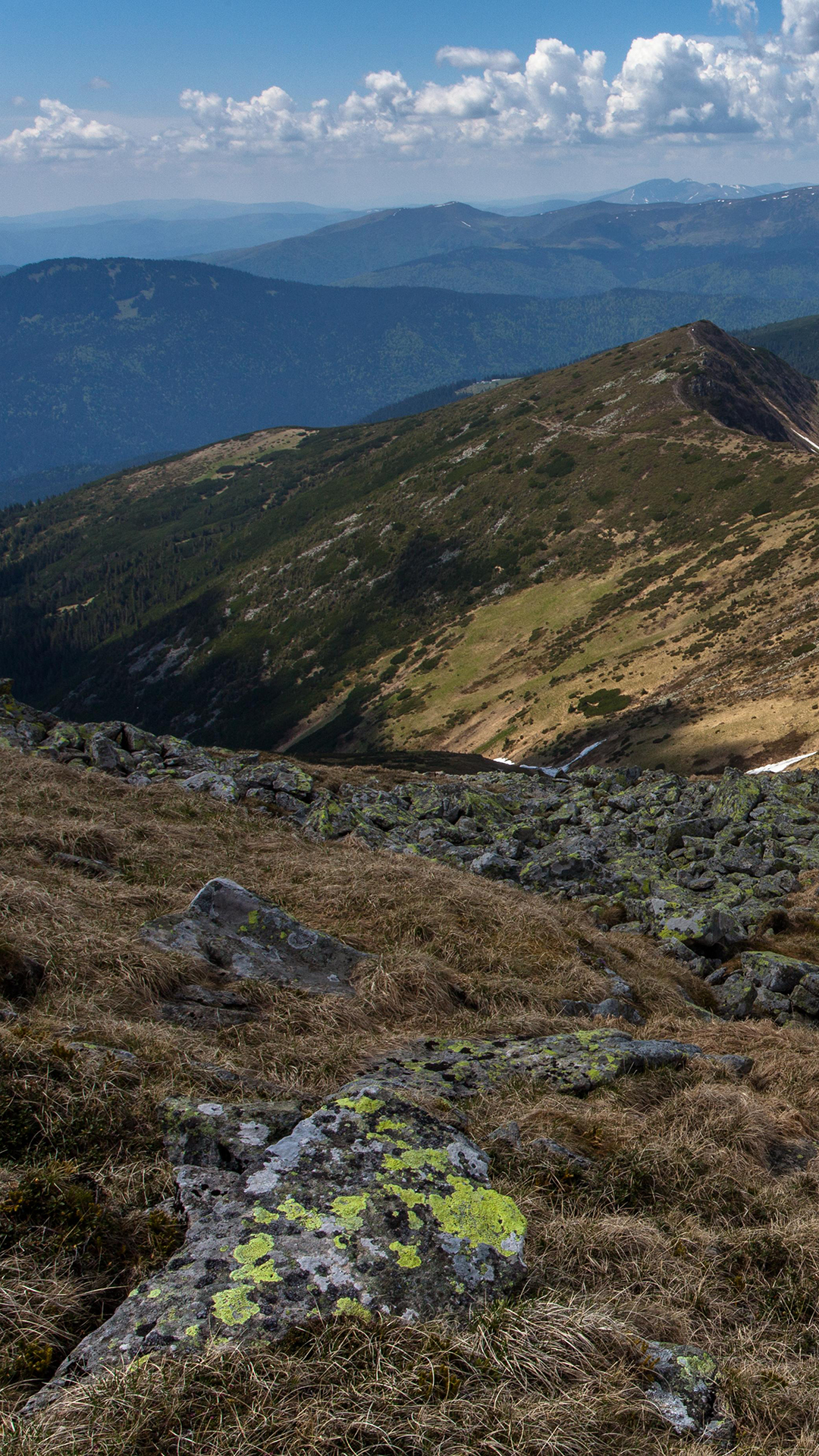 Обои хребет, облако, гора, растительное сообщество, экорегион в разрешении 1080x1920