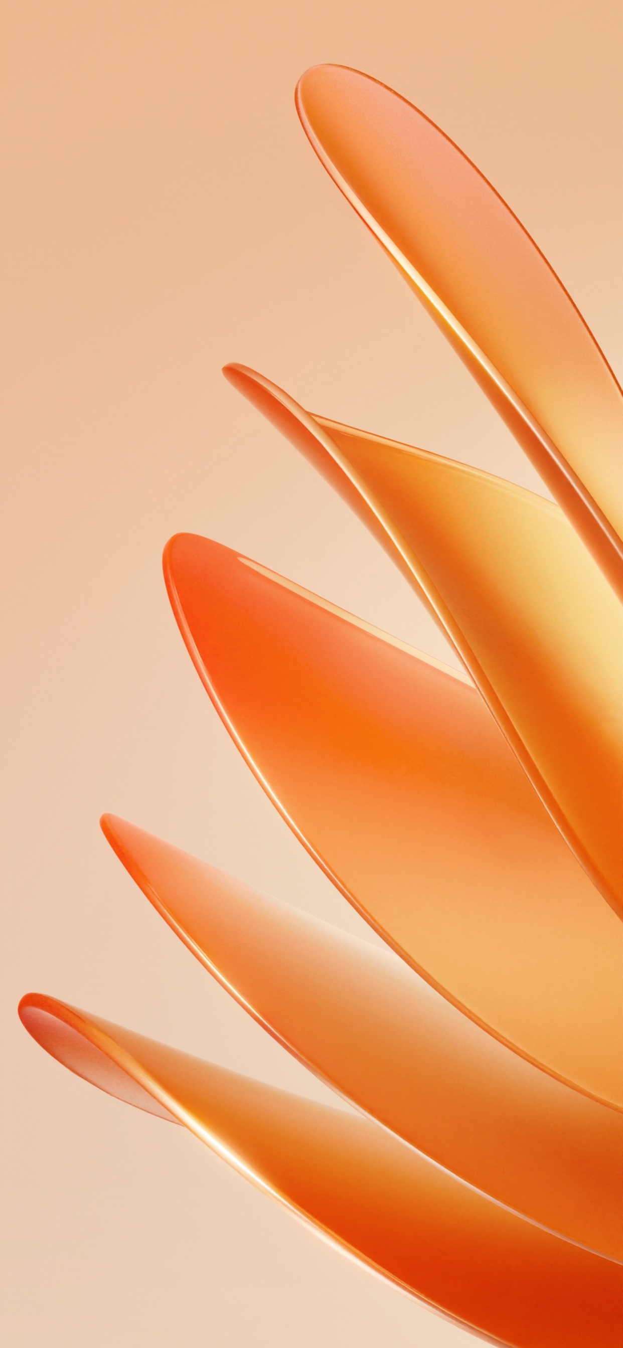 Обои Meizu, Huawei, смартфон, huawei p50 в разрешении 1242x2688