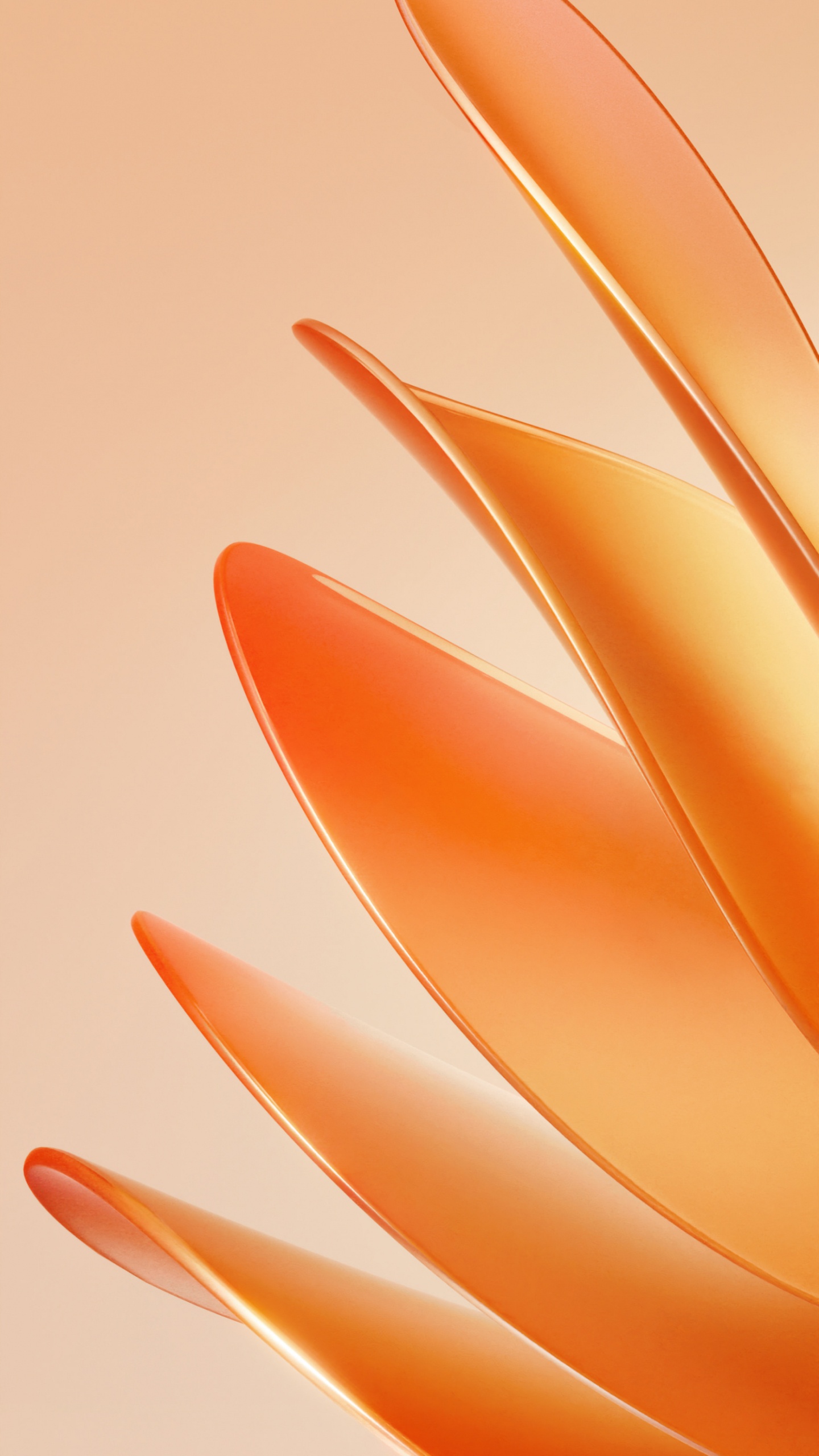 Обои Meizu, Huawei, смартфон, huawei p50 в разрешении 1440x2560