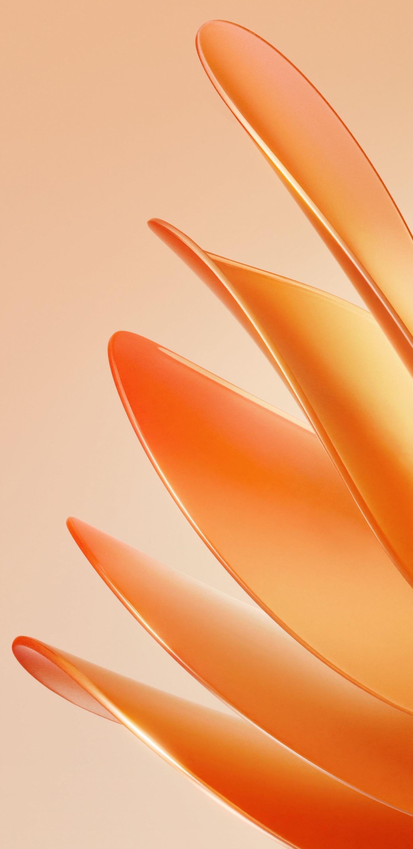 Обои Meizu, Huawei, смартфон, huawei p50 в разрешении 1440x2960