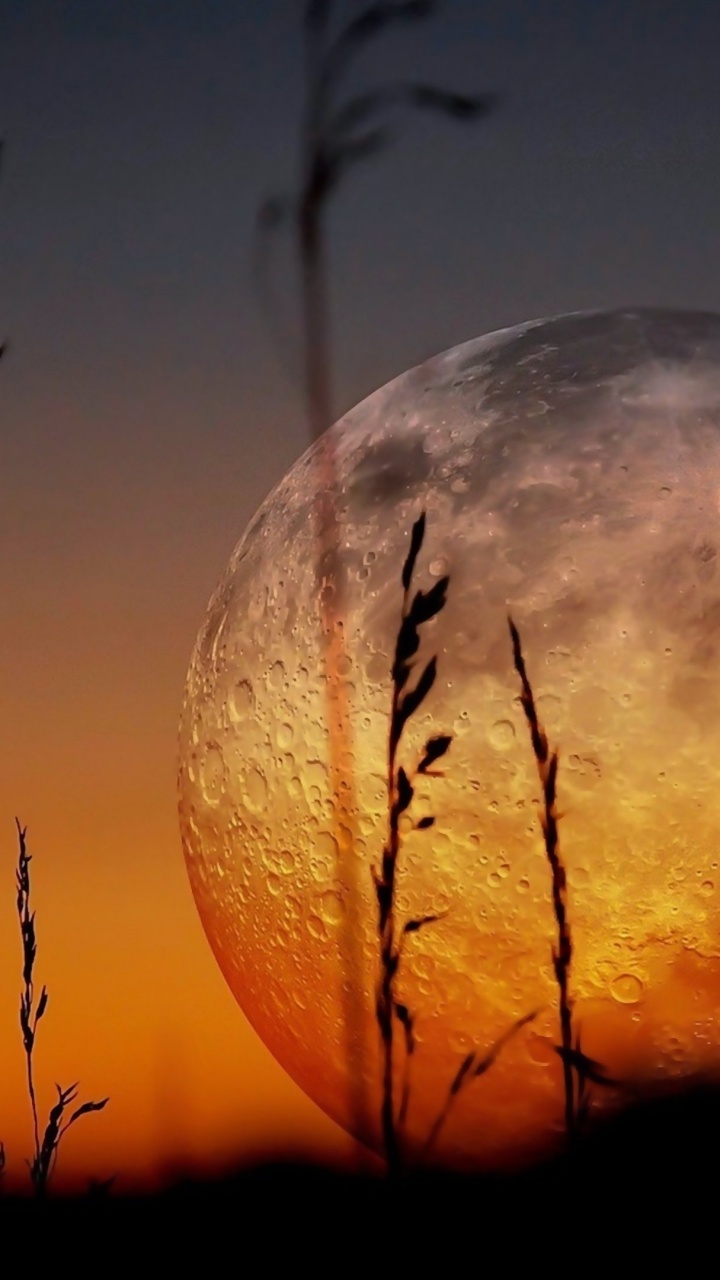 Обои суперлуние, луна, лунный свет, атмосфера, закат в разрешении 720x1280