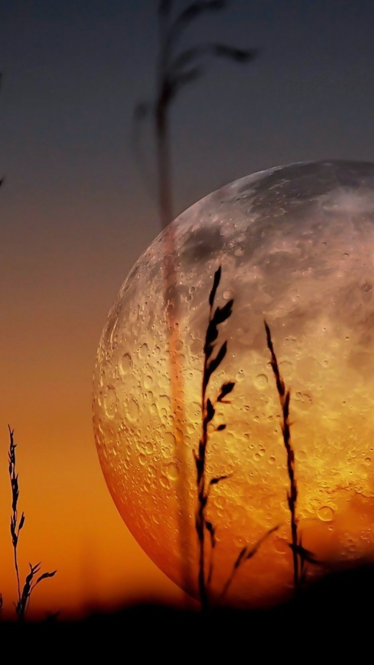 Обои суперлуние, луна, лунный свет, атмосфера, закат в разрешении 750x1334