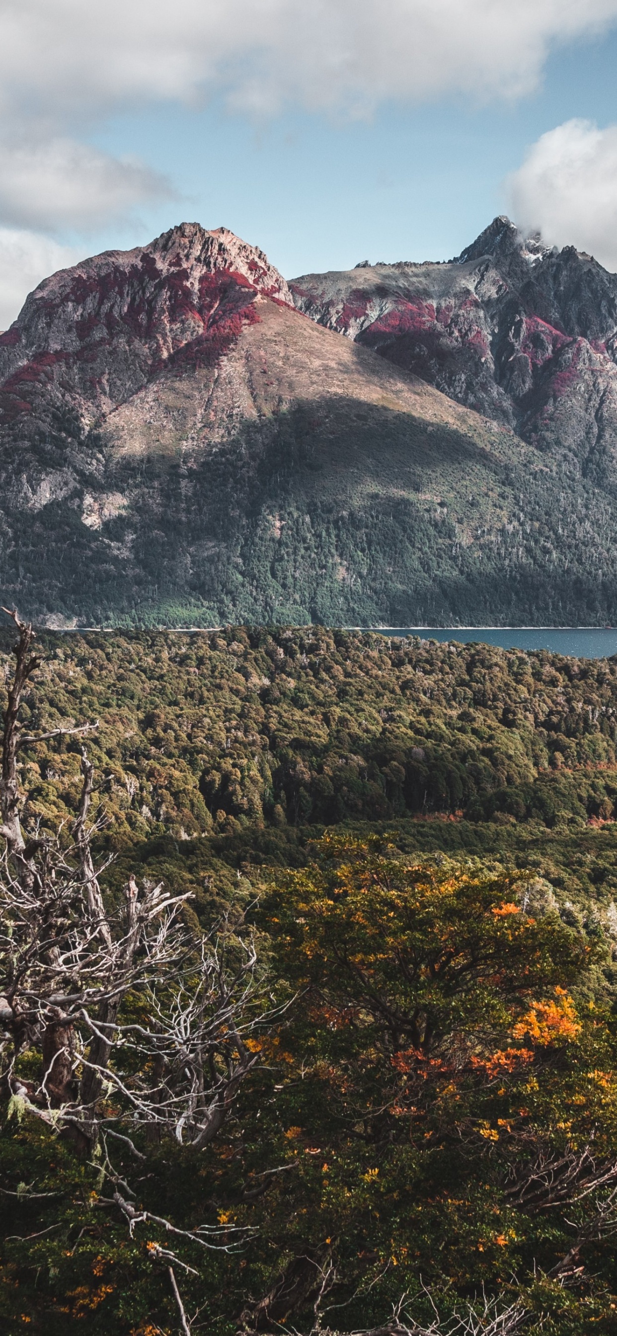 Обои горный хребет, гора, облако, вода, растение в разрешении 1242x2688