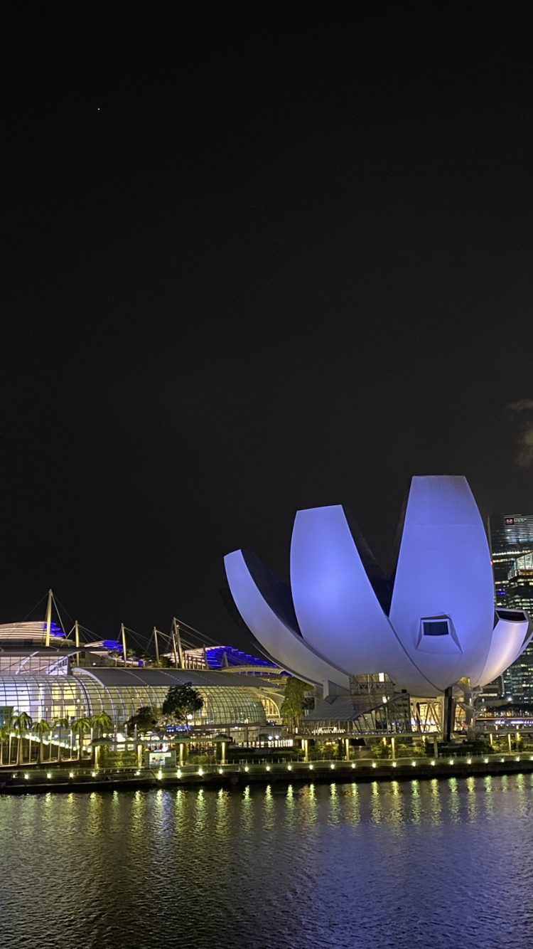 Обои Сингапур, отражение, высотное здание, здание, ночь в разрешении 750x1334